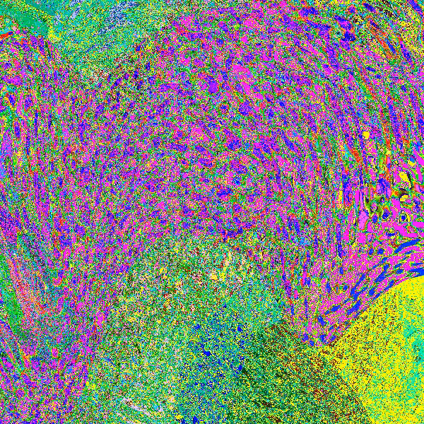 Einstein-Rosen Memories #48