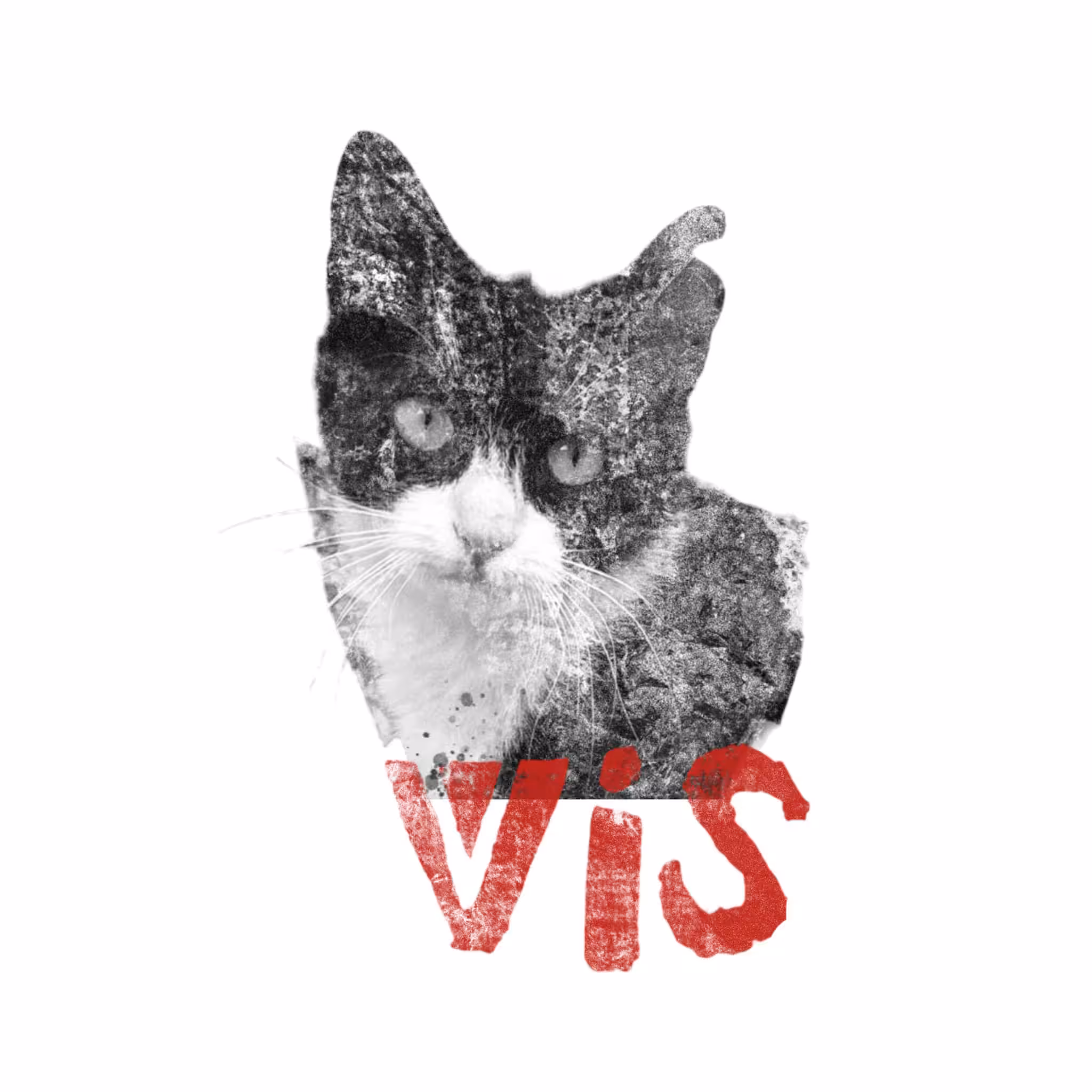Flochette / Vis
