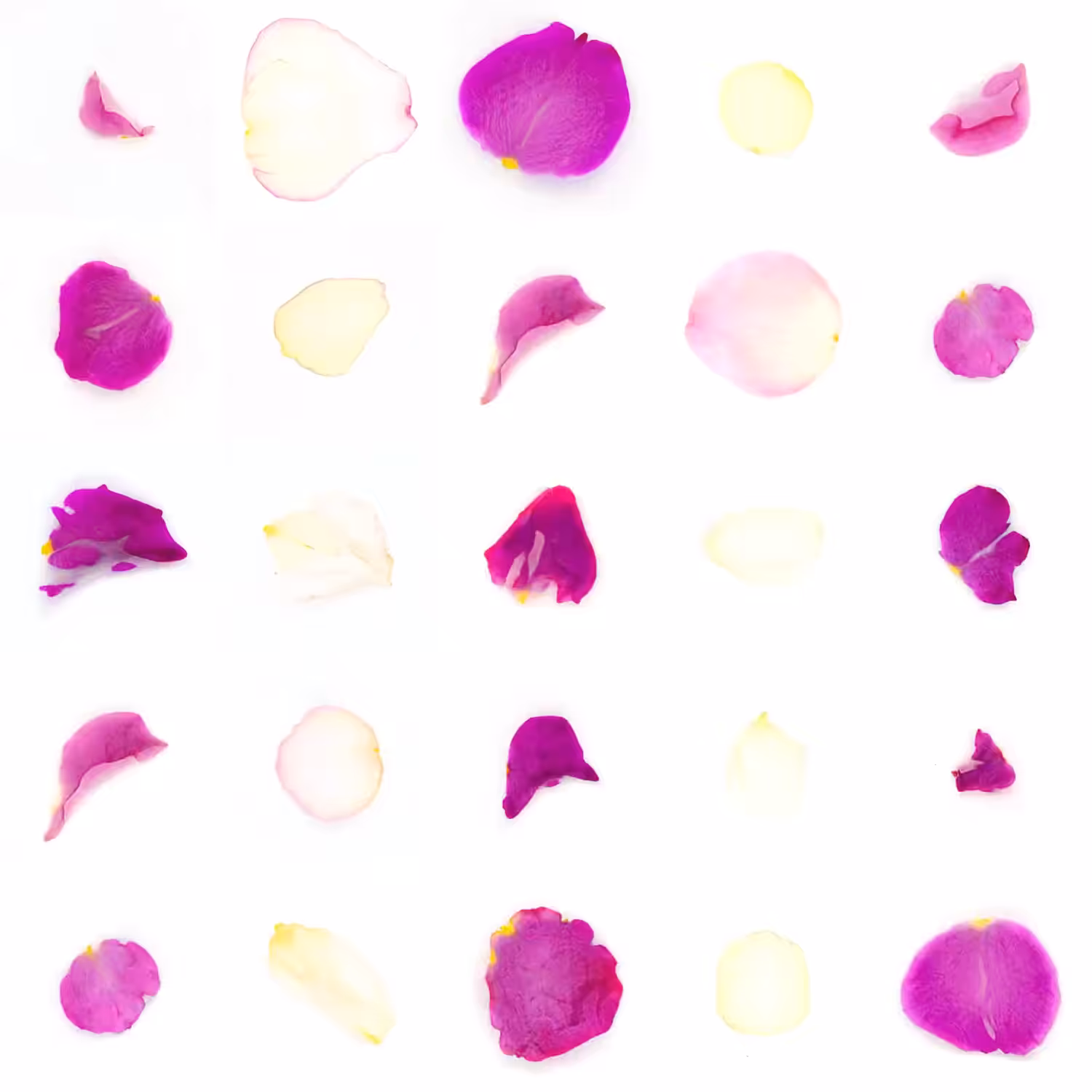 Infinite Petals 5x5#20614