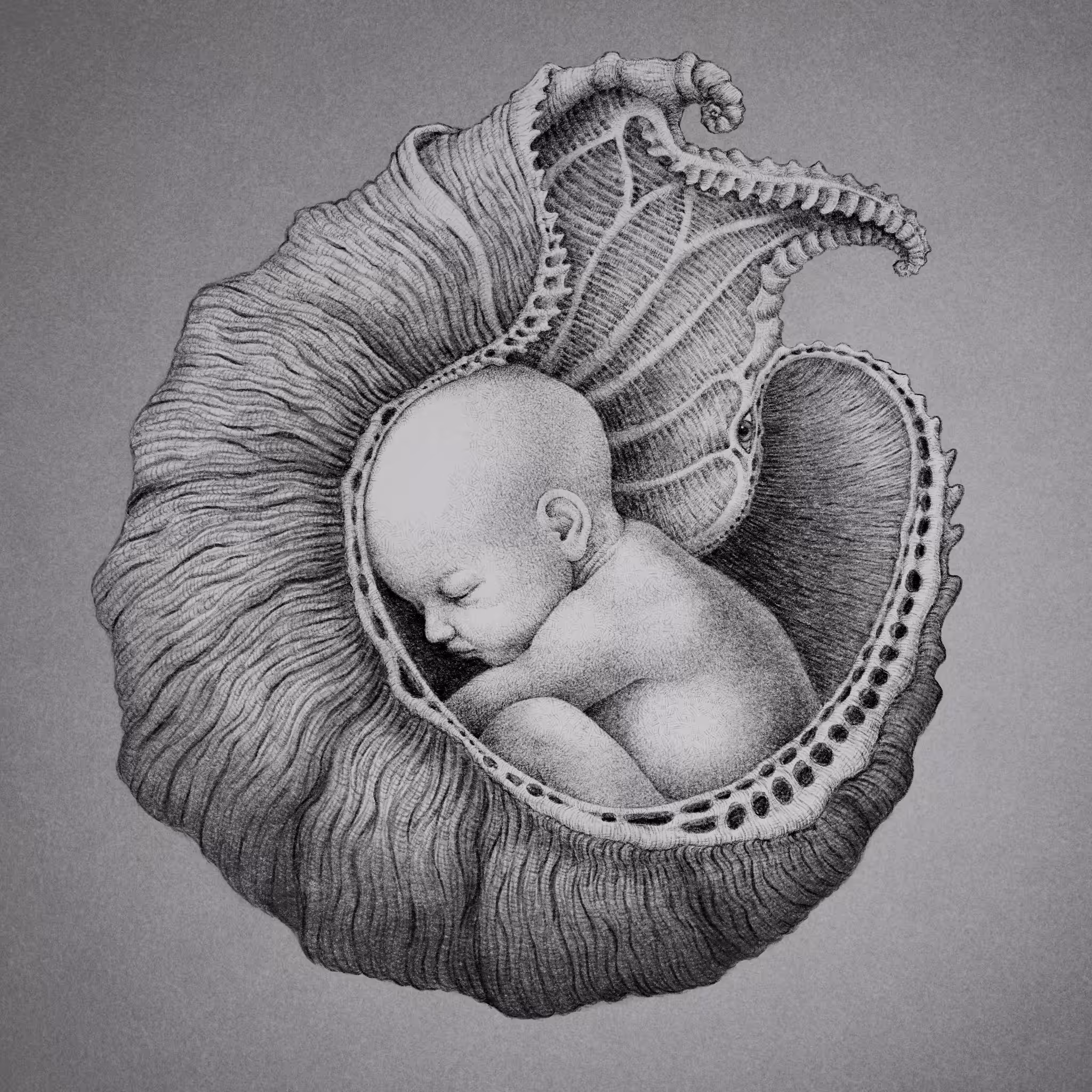 Venus Conception
