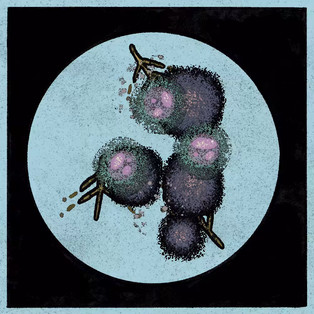 Microbes #101