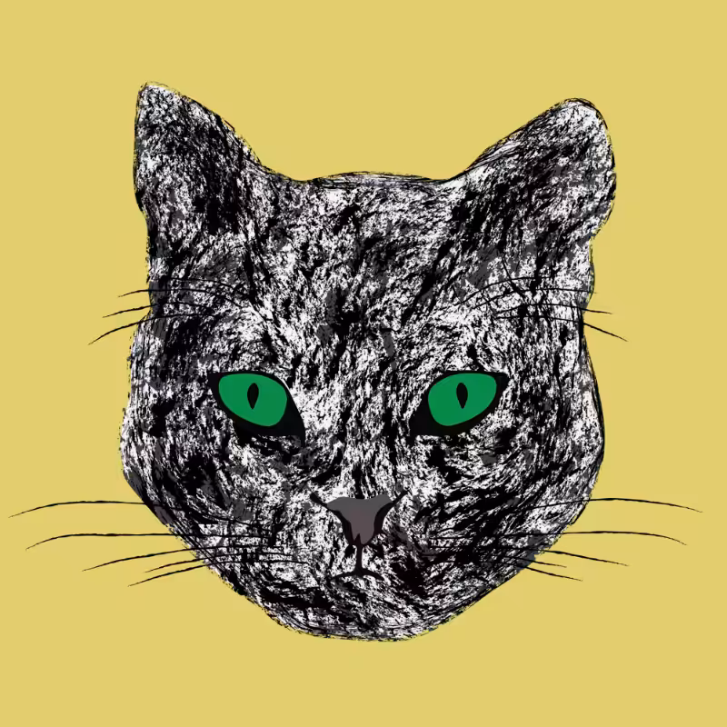 Kitten #13