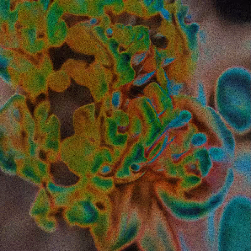 CLDCSMC #1