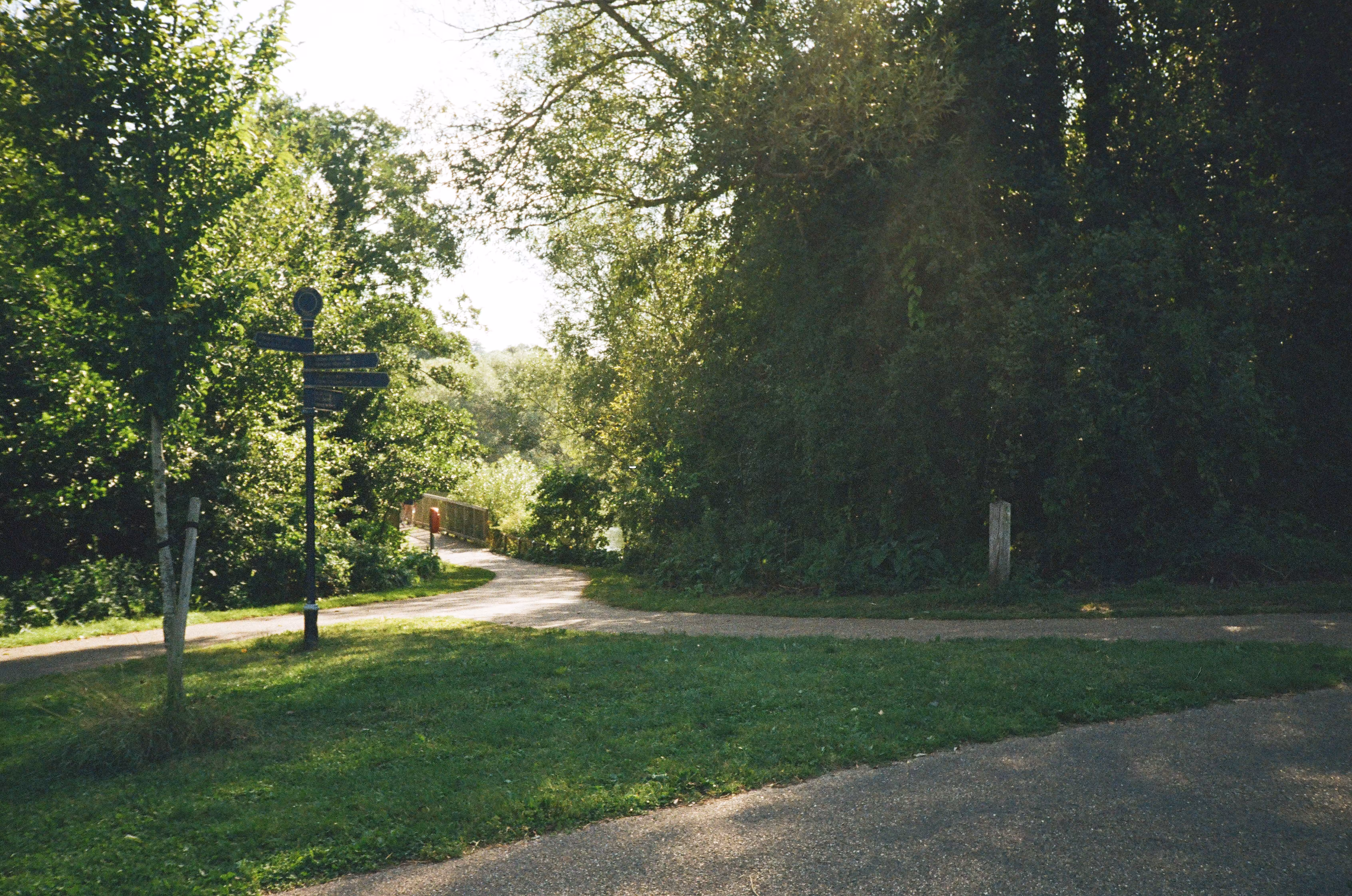 Rodeo posts: Summer walks