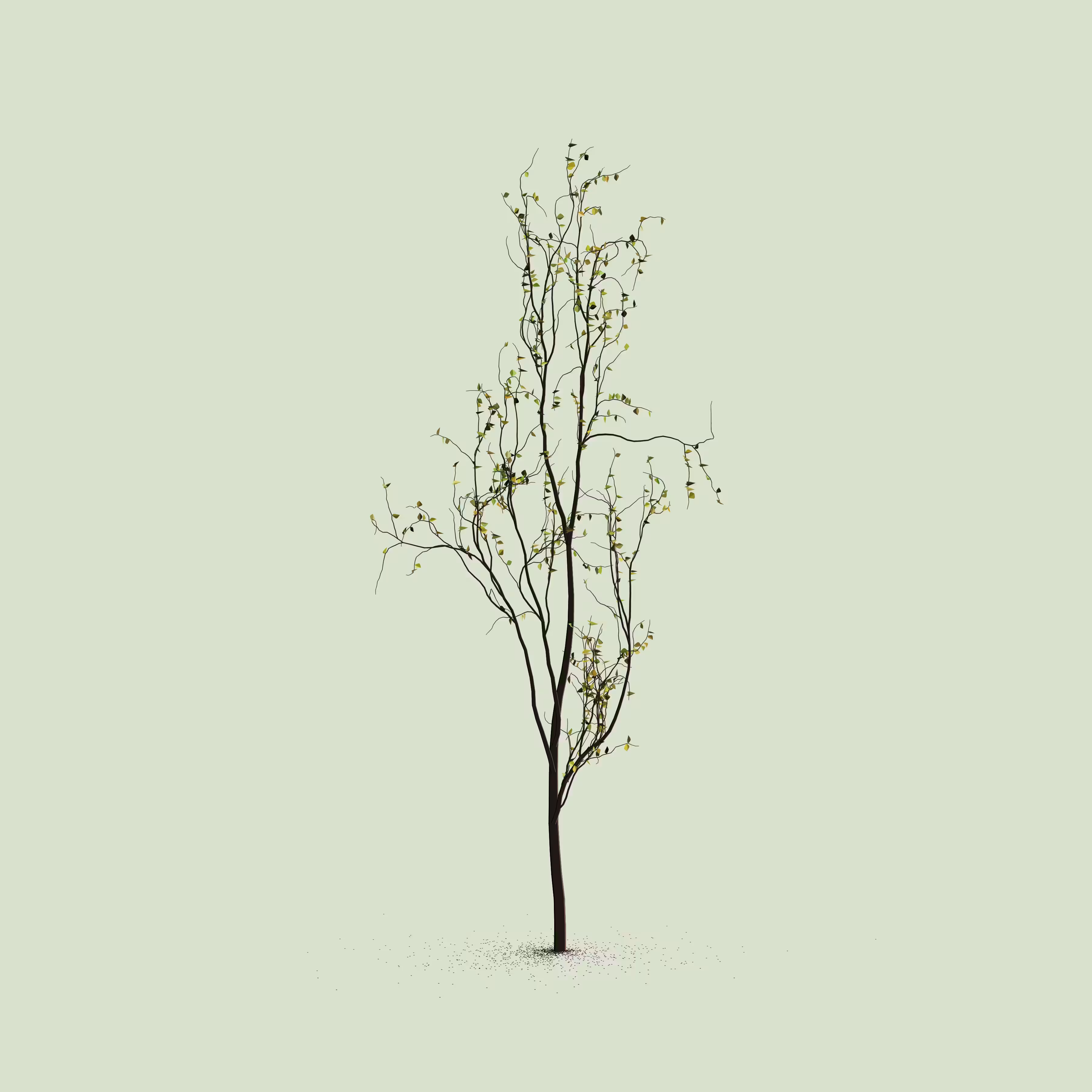 Little Trees #7