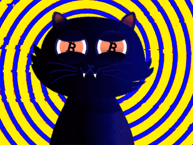 bitty kitty