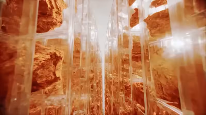 DX01: SINGULARITY 02940