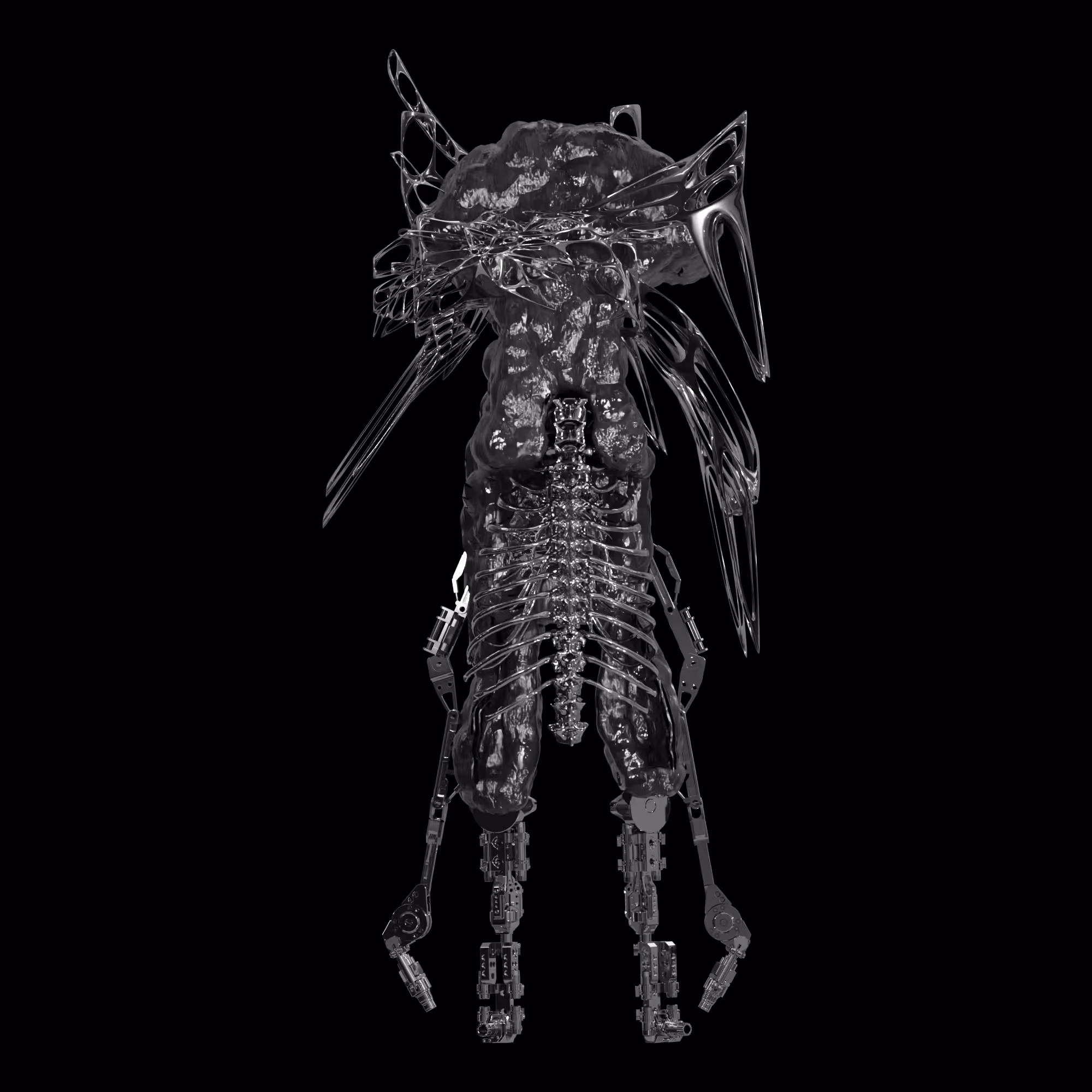 NIXPW TRANSMUTATION 0010
