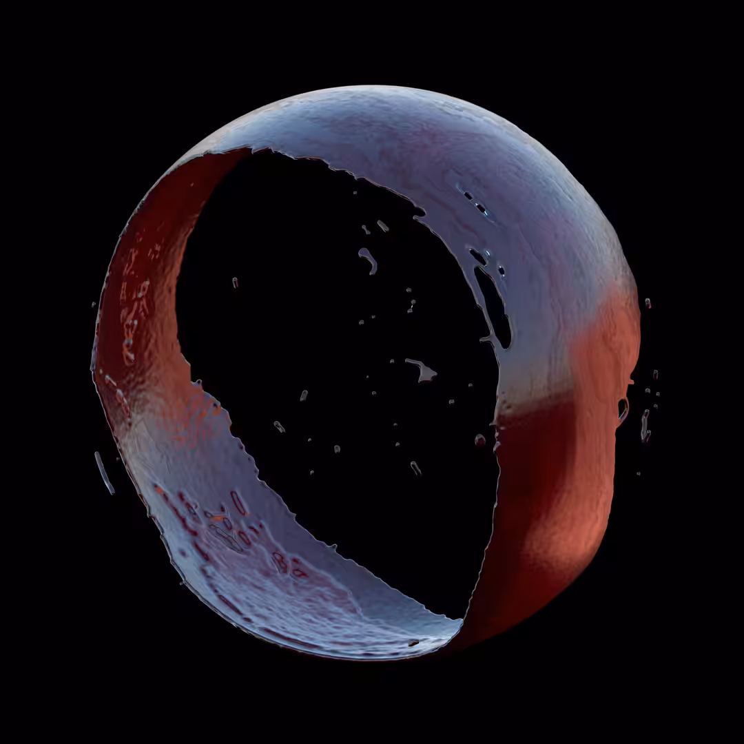 THE CIRCLE #01