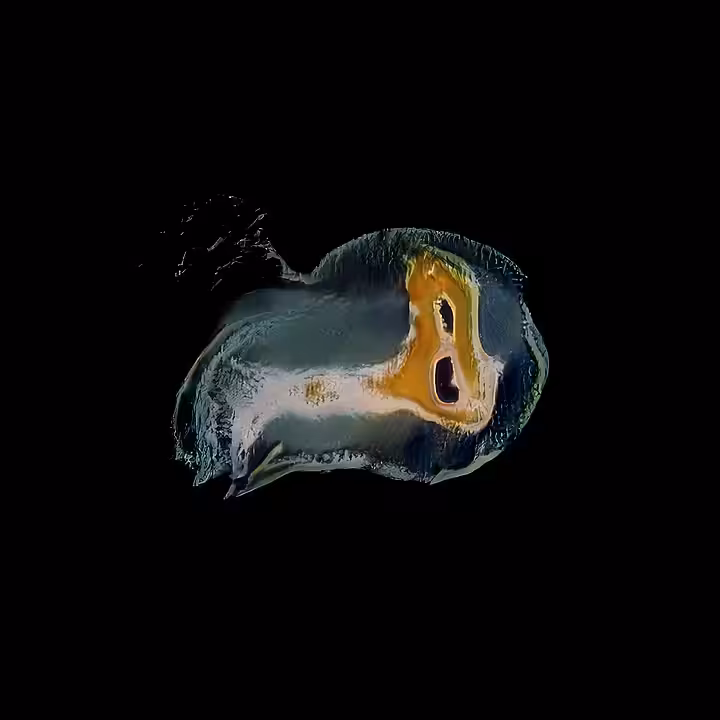 Coral Polyps #4