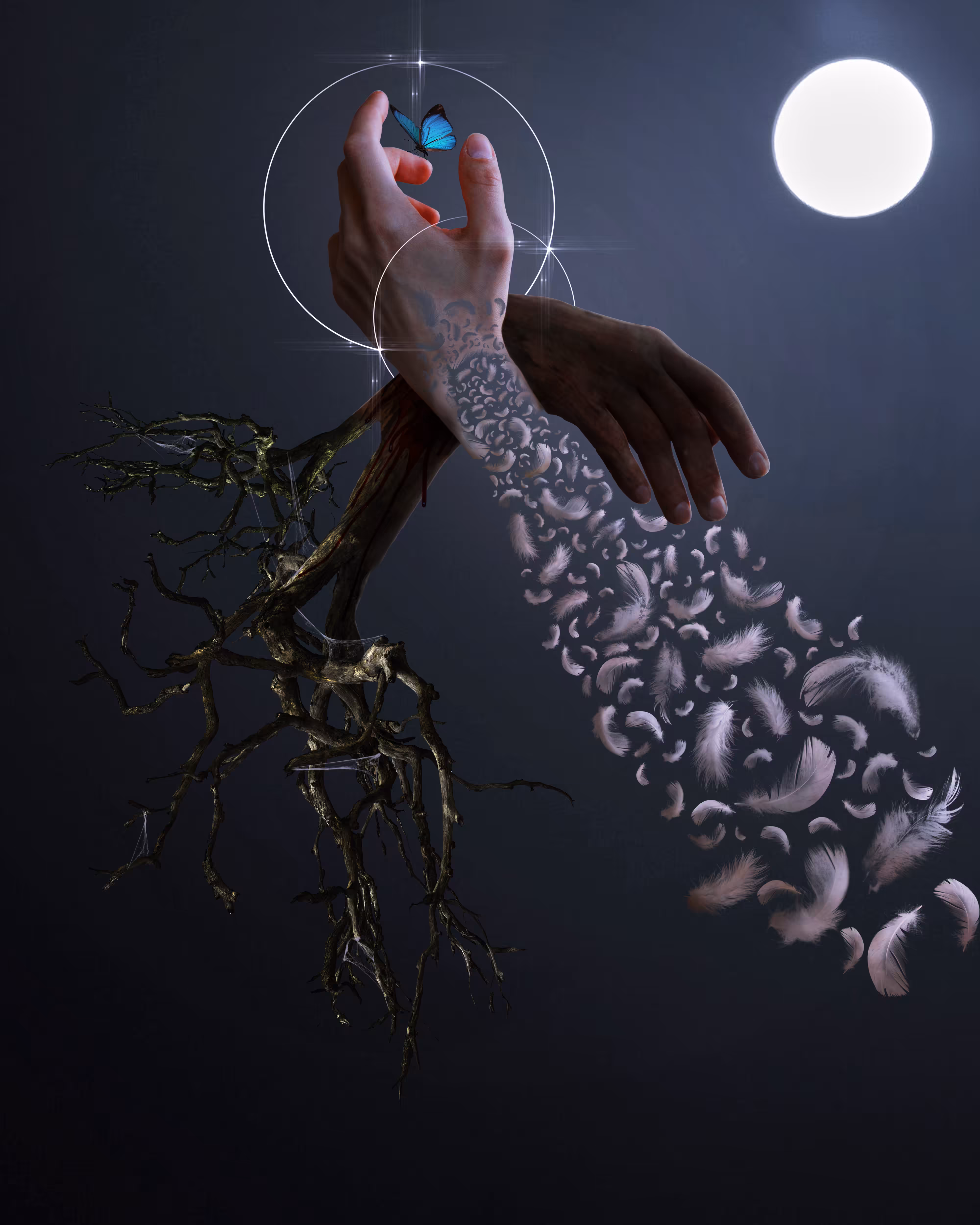 Saṃsāra (Death & Re-birth)
