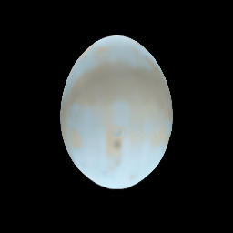 Ephemeral Egg