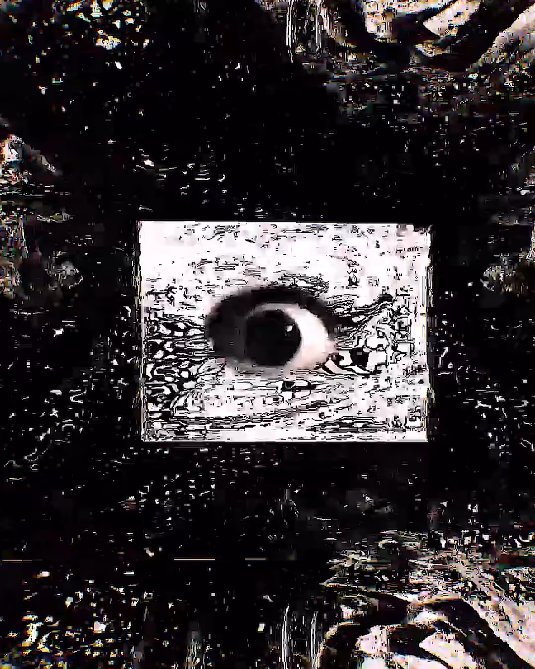 The Eye / O Olho