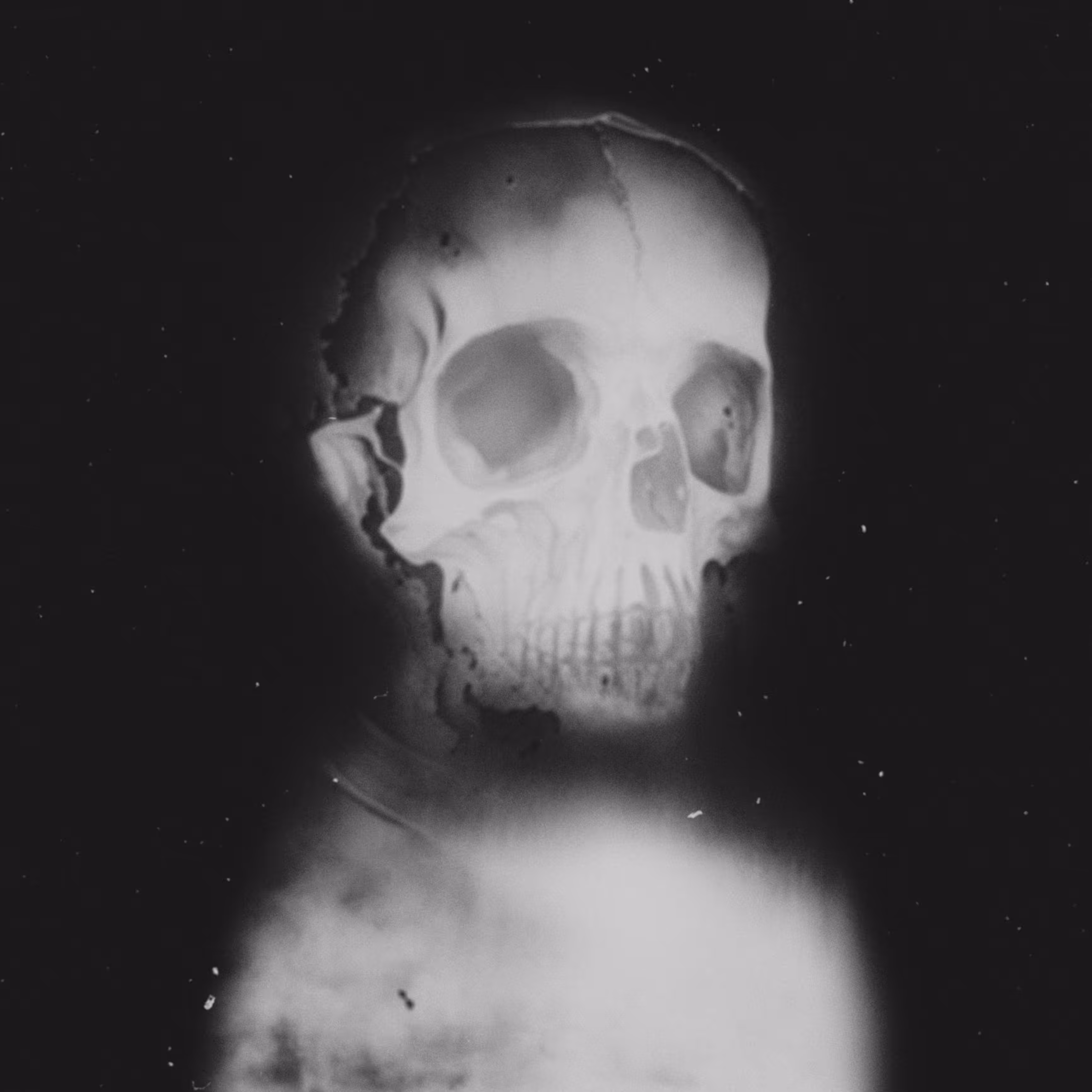 Ghost #7