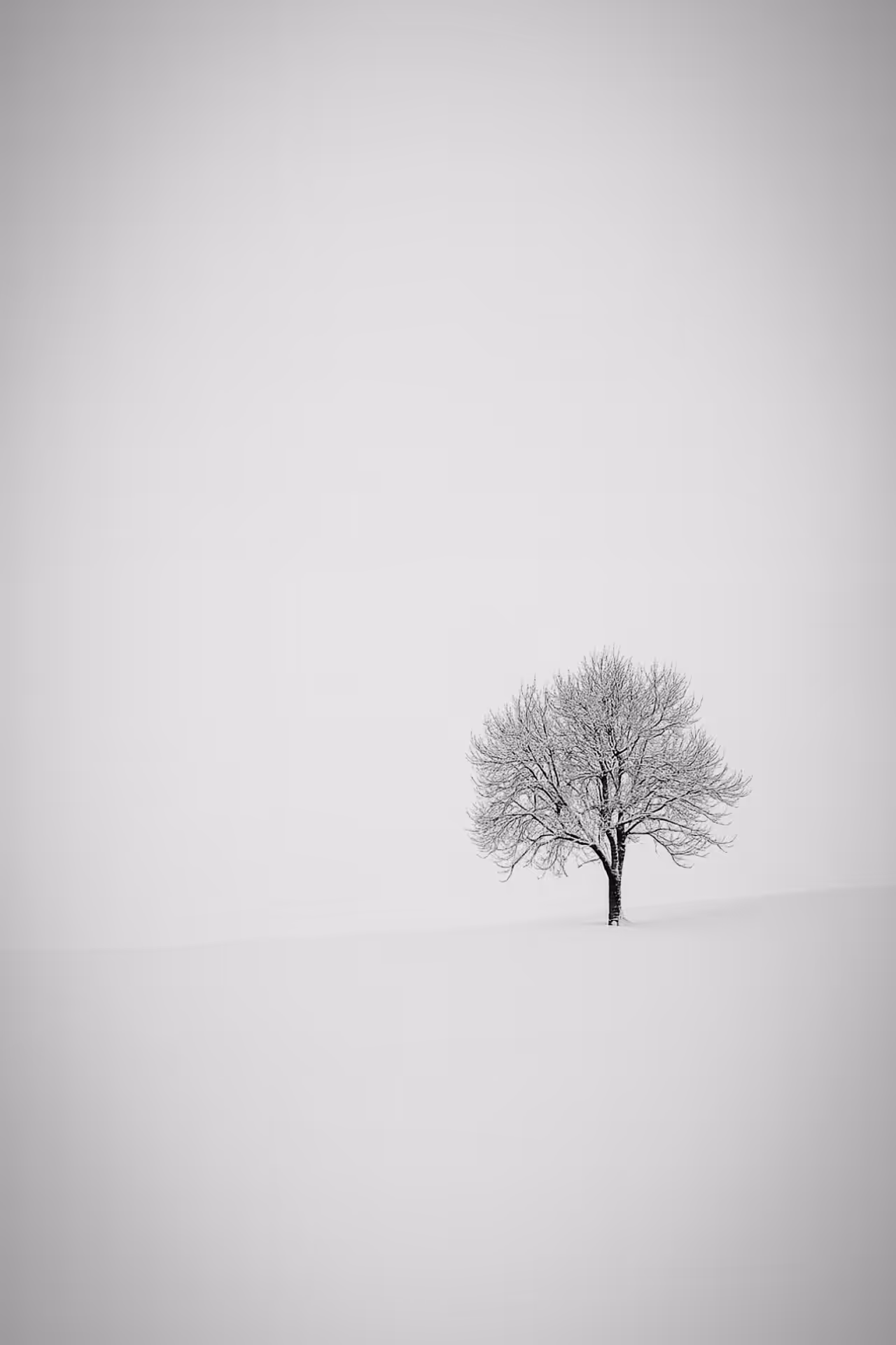 Alone