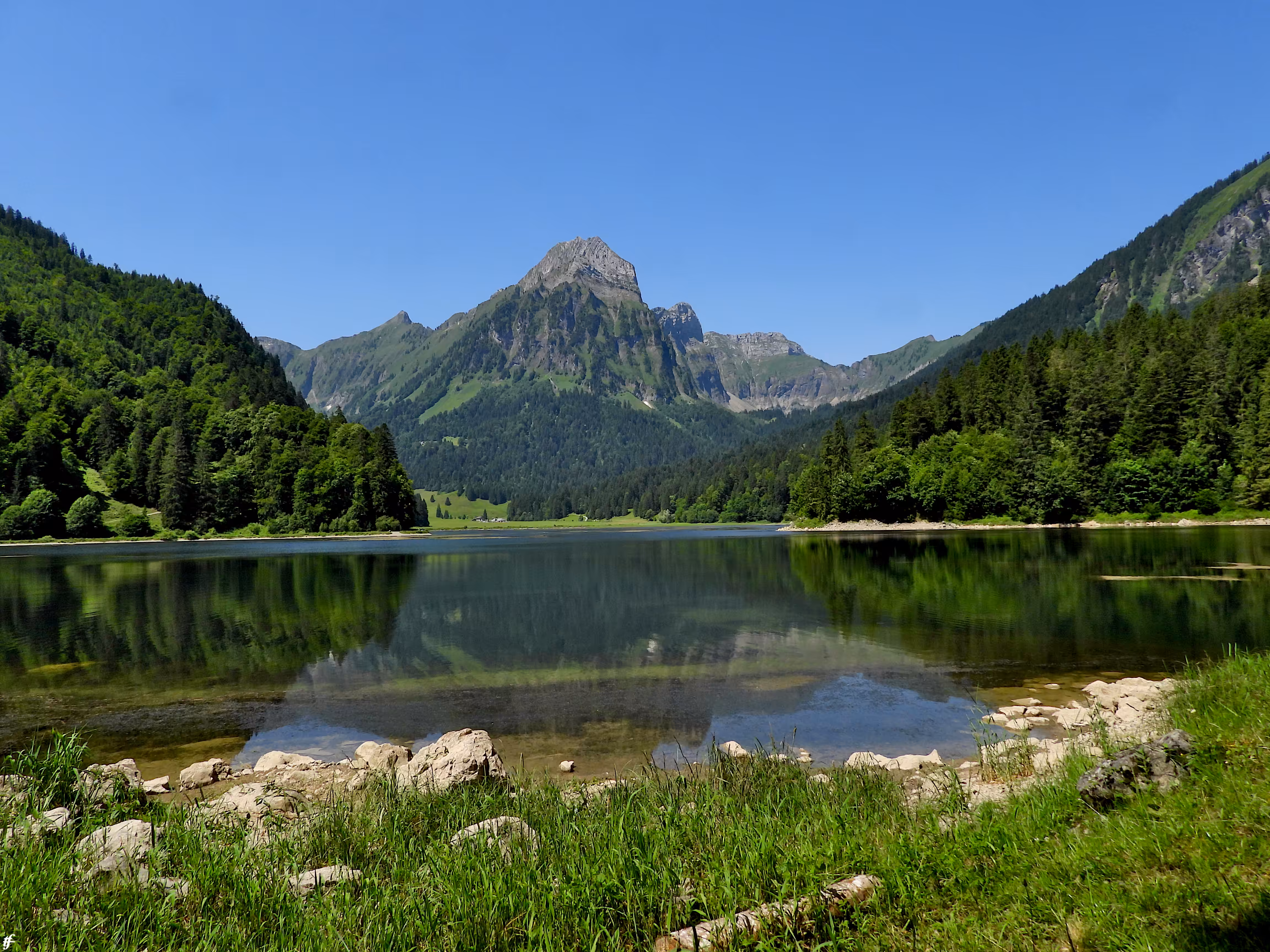 Obersee