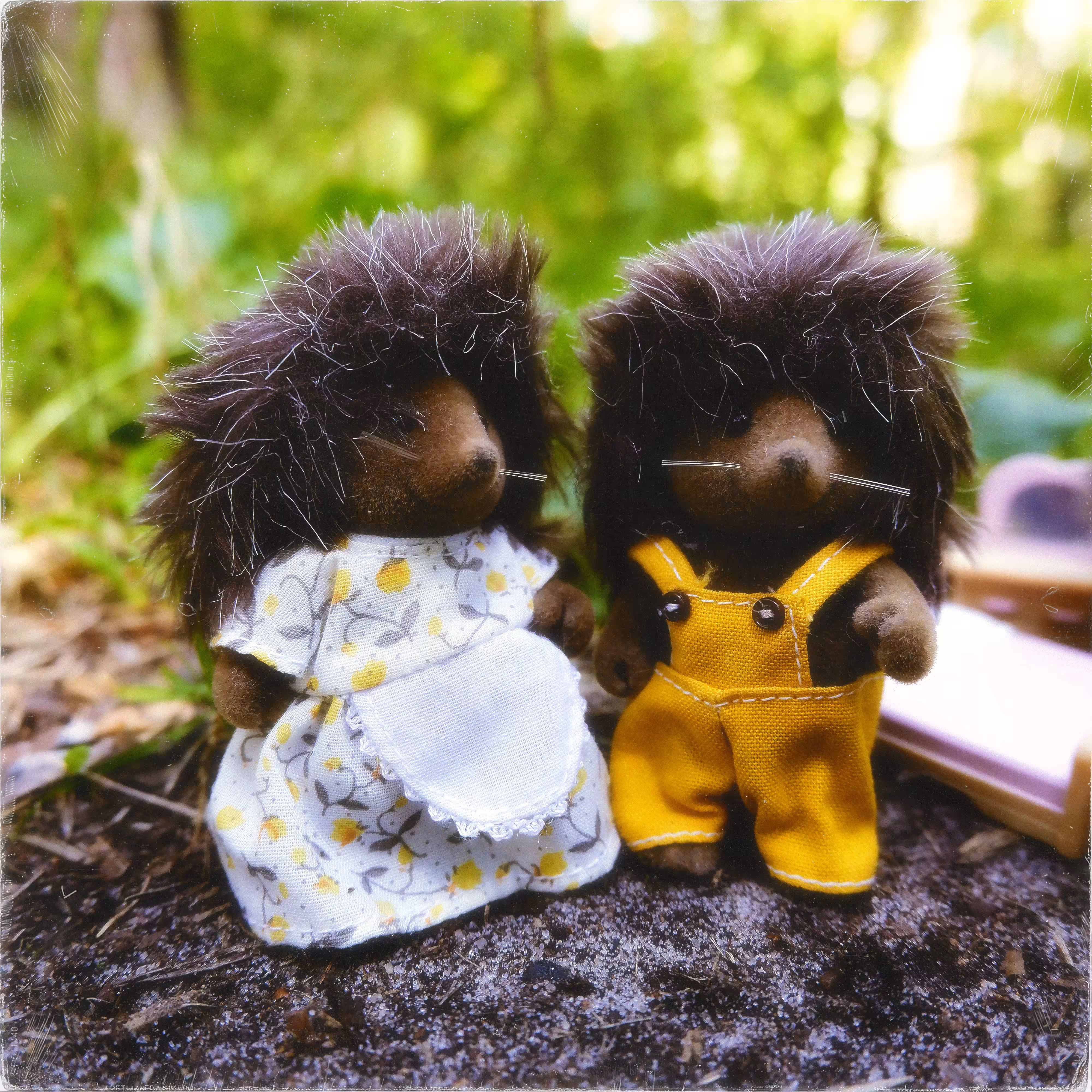 prickly couple