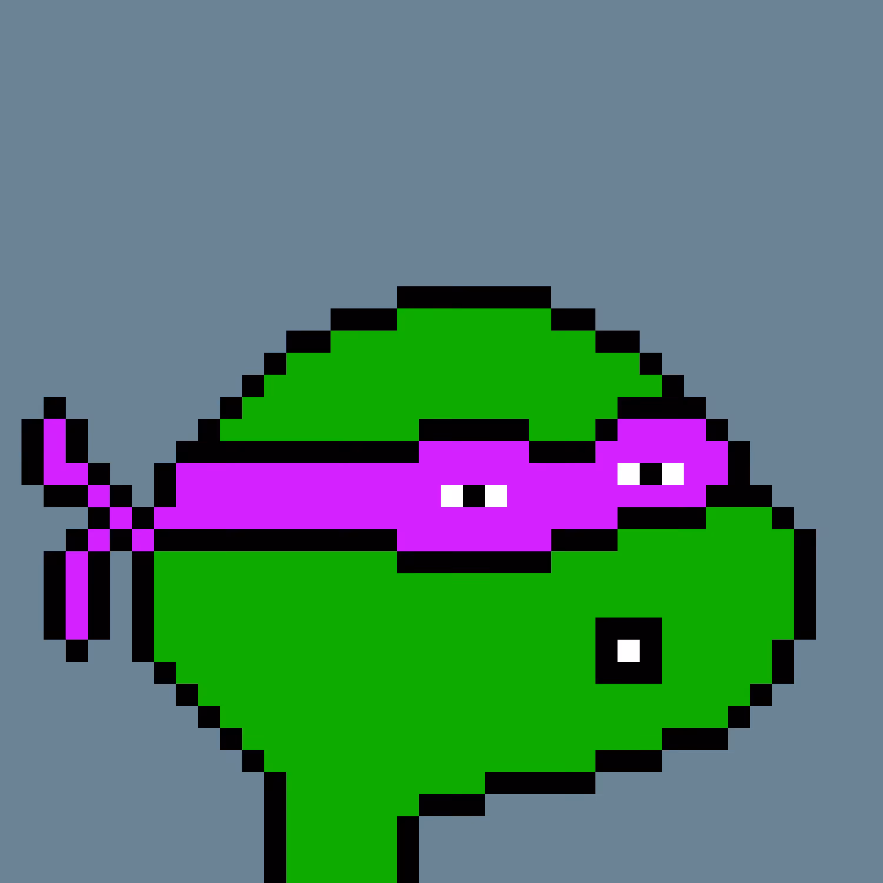 Donatello token 