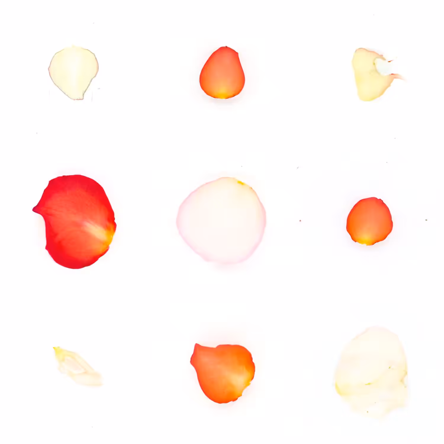 Infinite Petals 3x3#1710