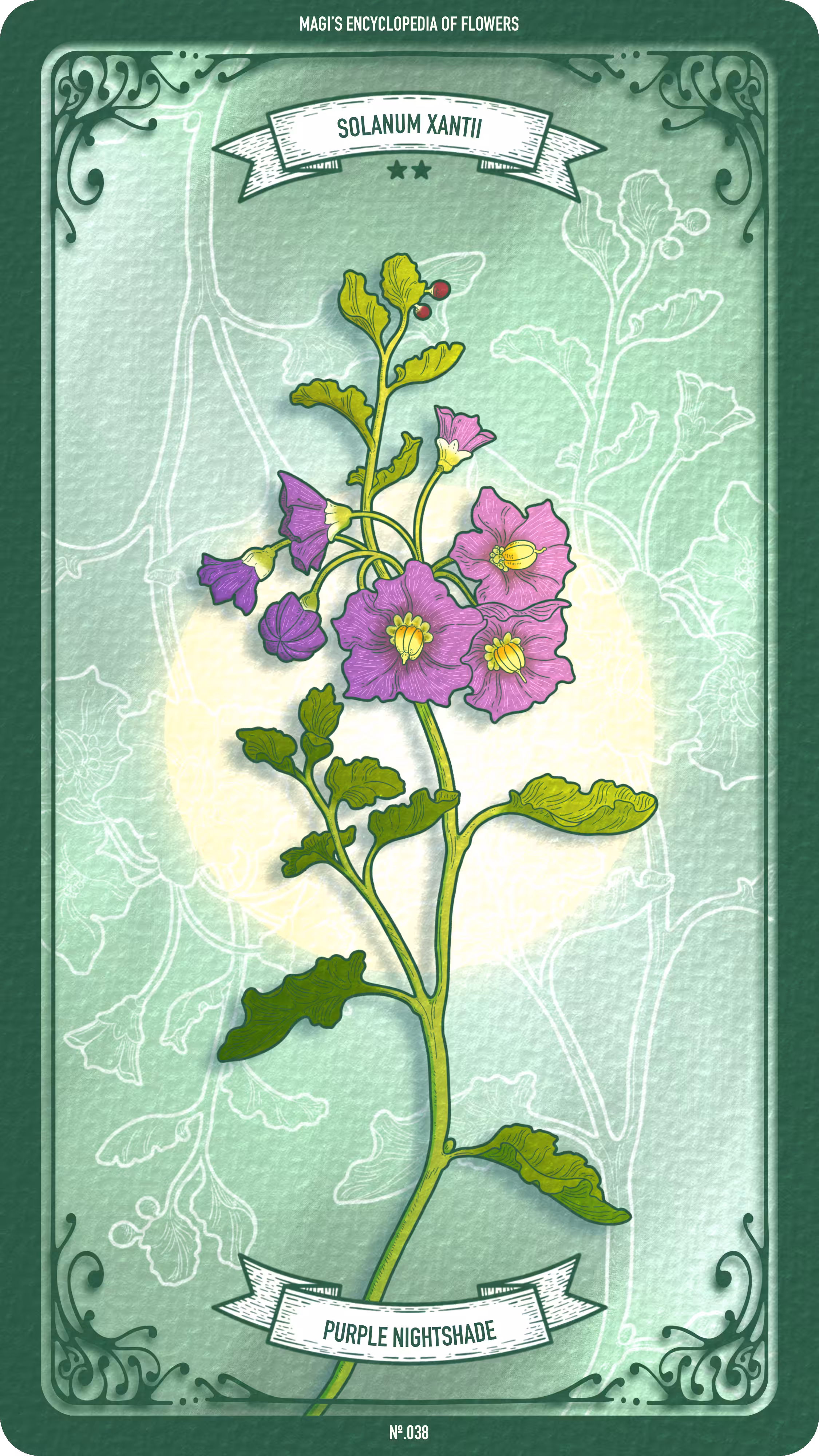 038 Purple Nightshade