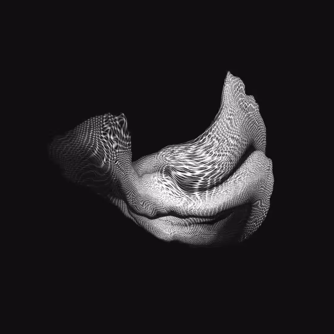 biomesh origin