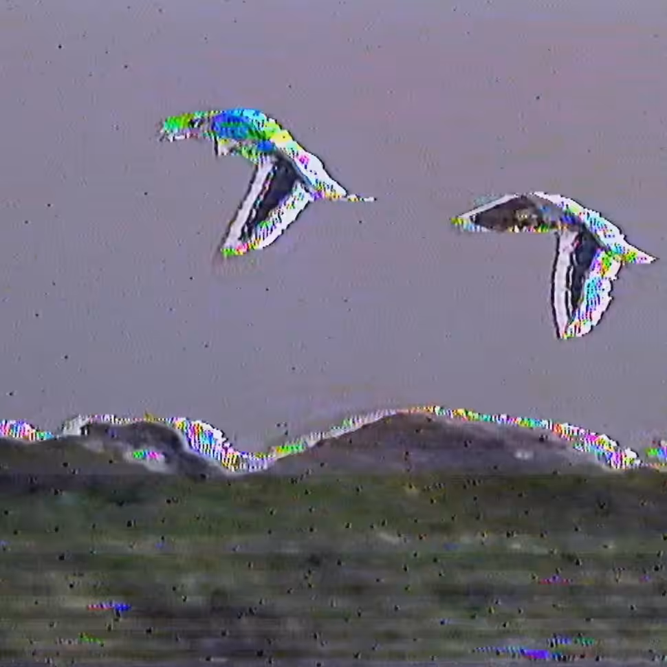 vhs dream 0241