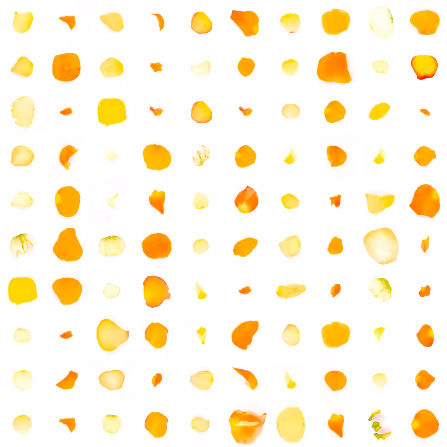 Infinite Petals 10x10#2740
