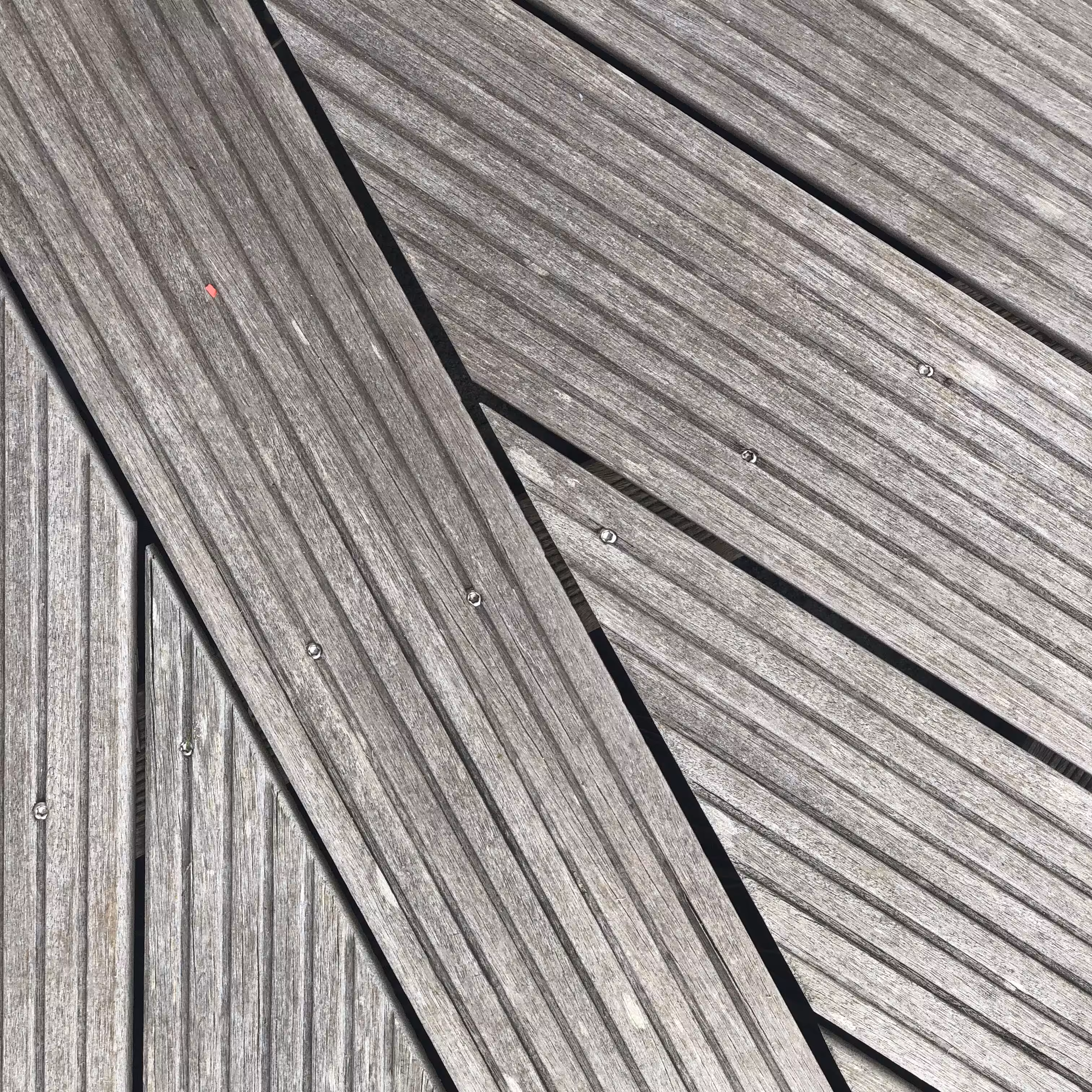 The Red Rectangle