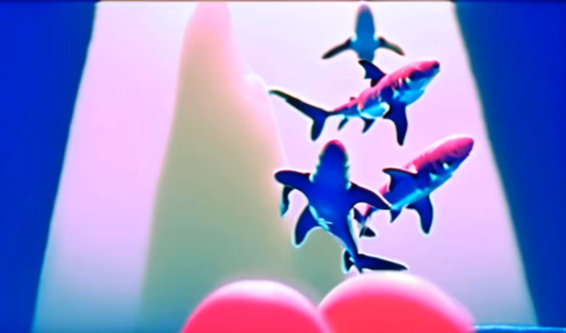 Zane Austin - Bubblegum Shark