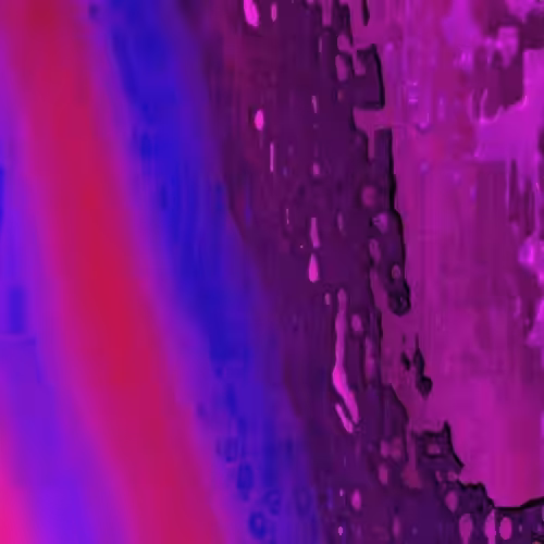 GIF Experiment 12, 2021