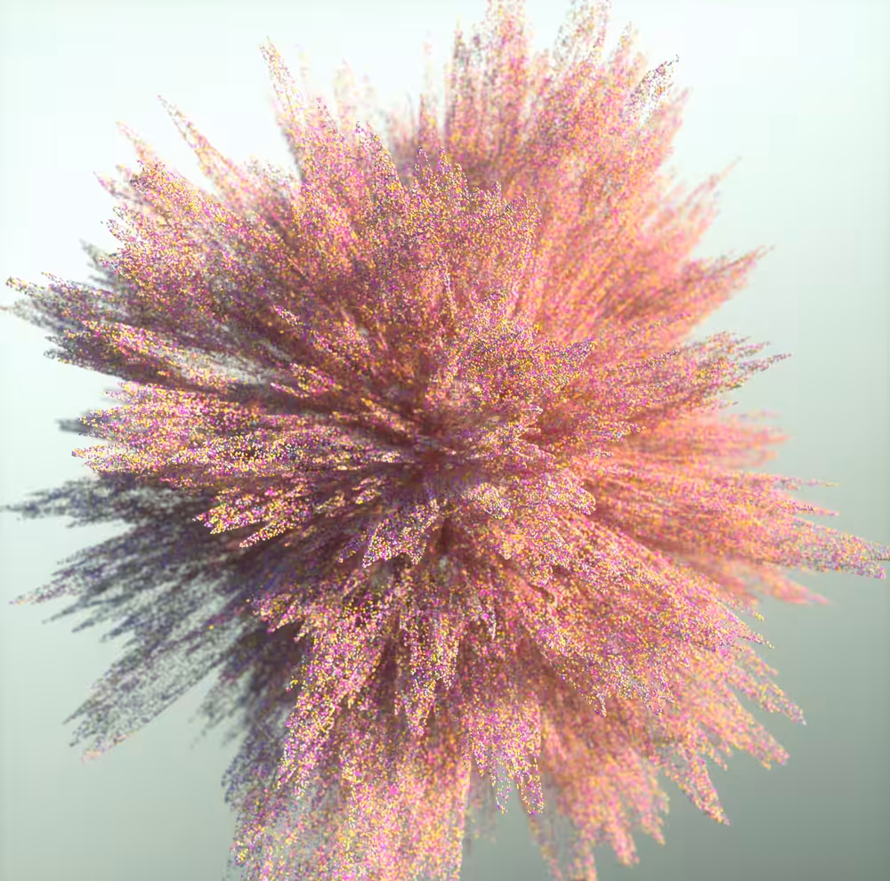 Bloom