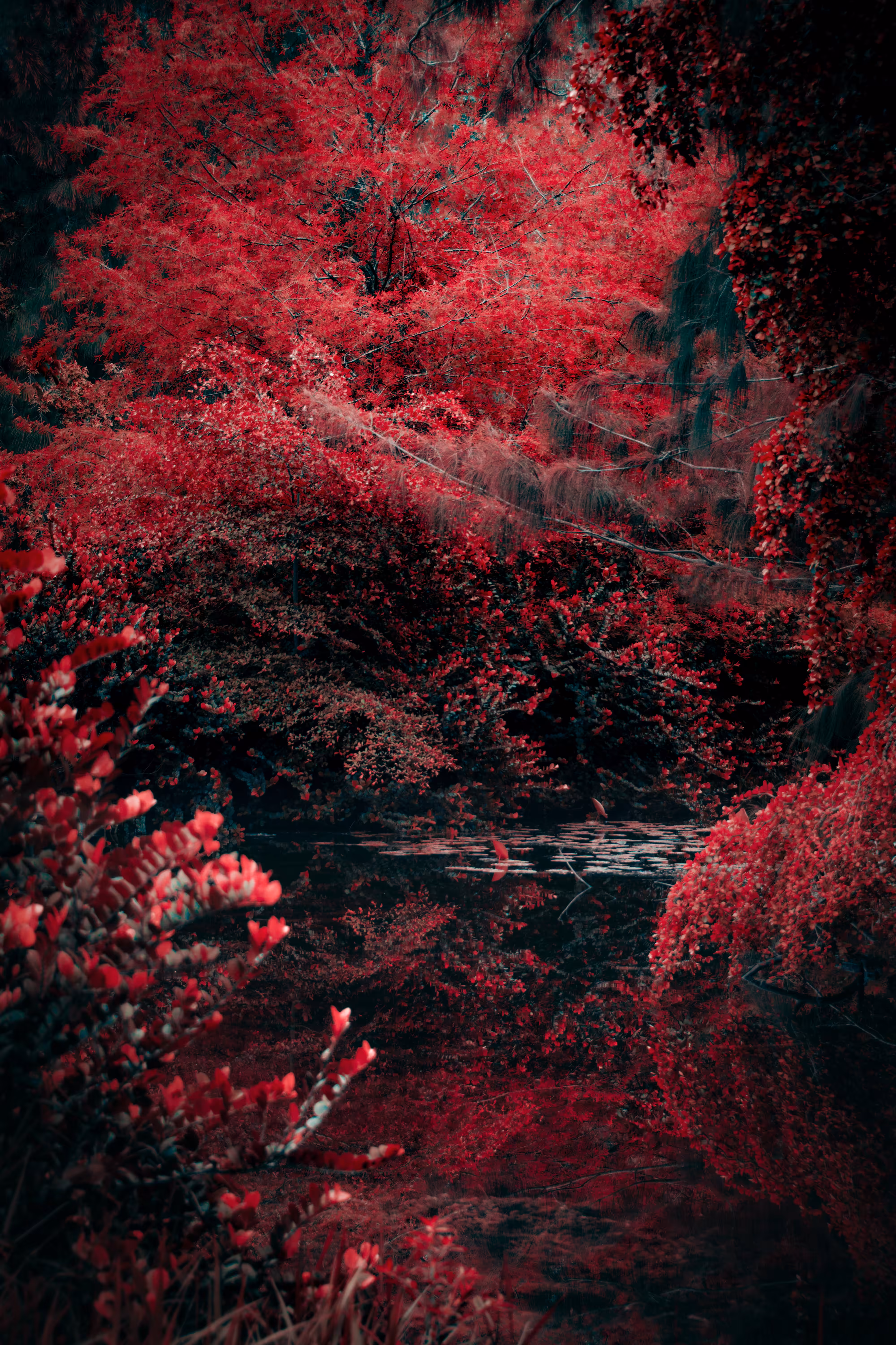 Scarlet Fever: Eidolon