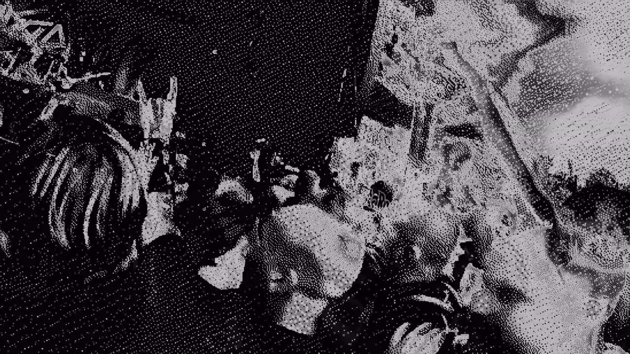 Entire Audience Is The Pit