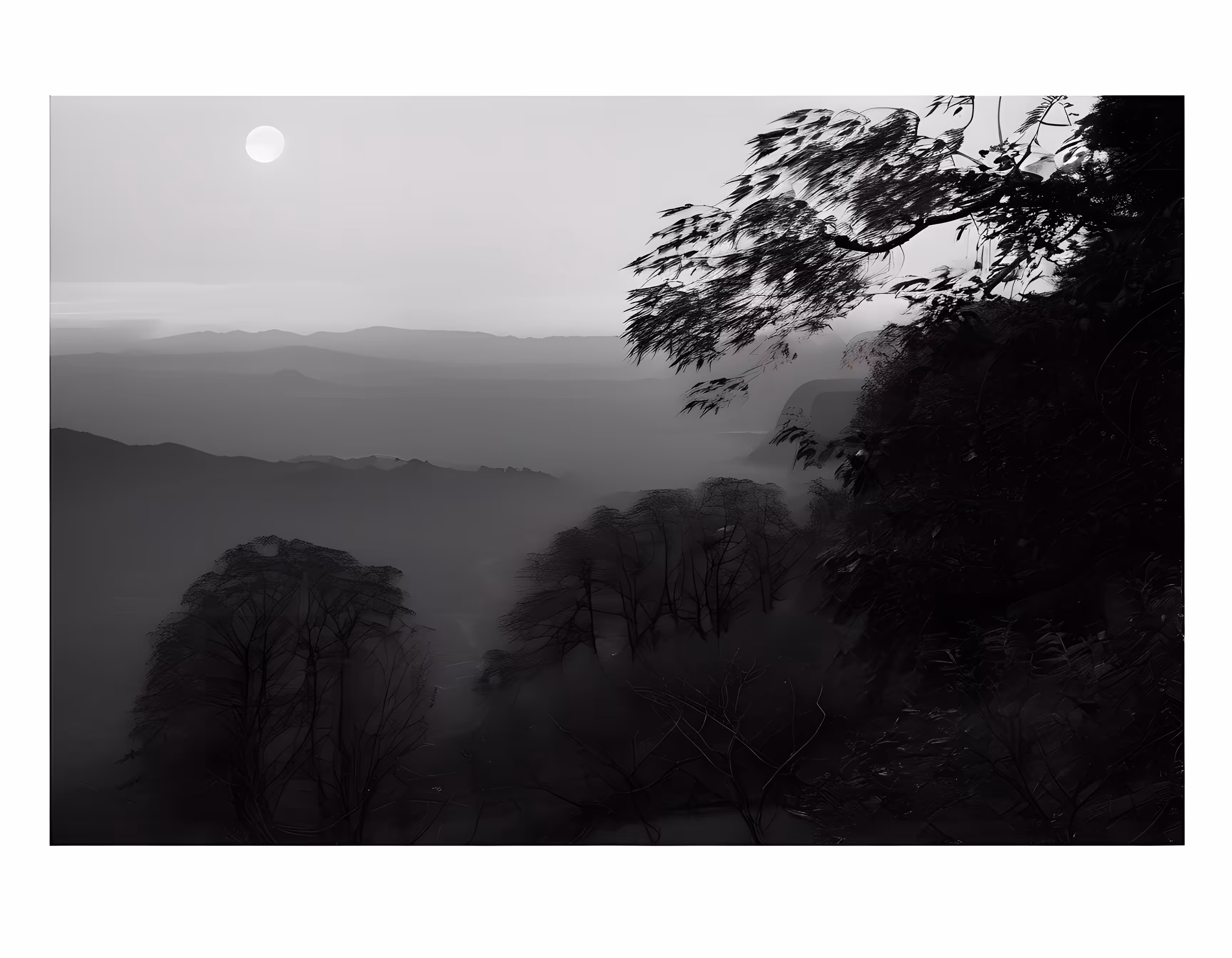 SYNTHETIC PHOTOGRAPHY RAW #41