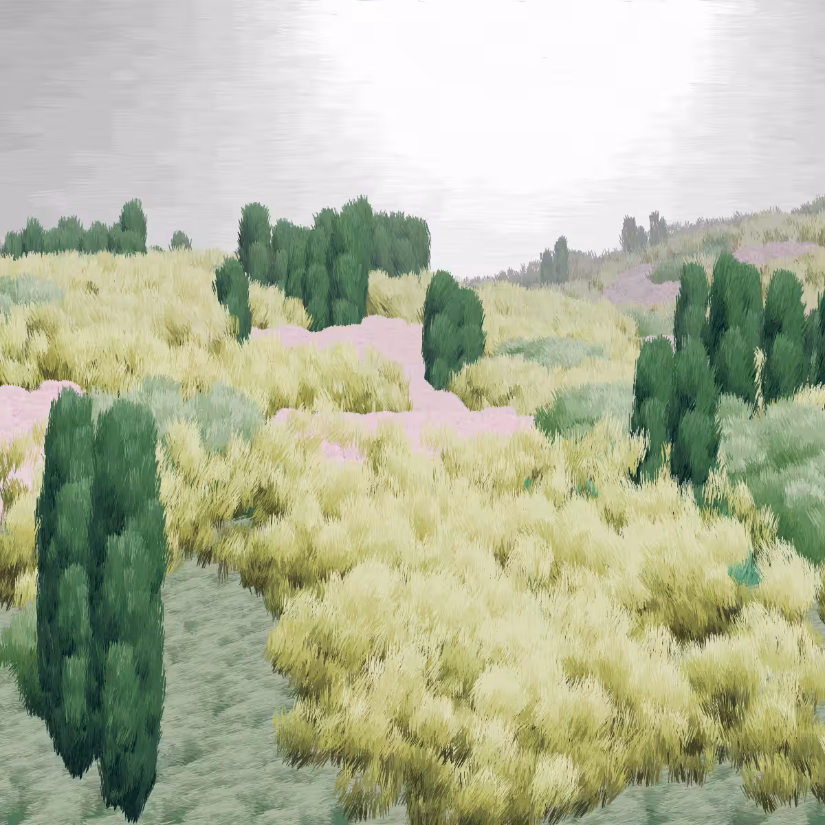 Provence #323