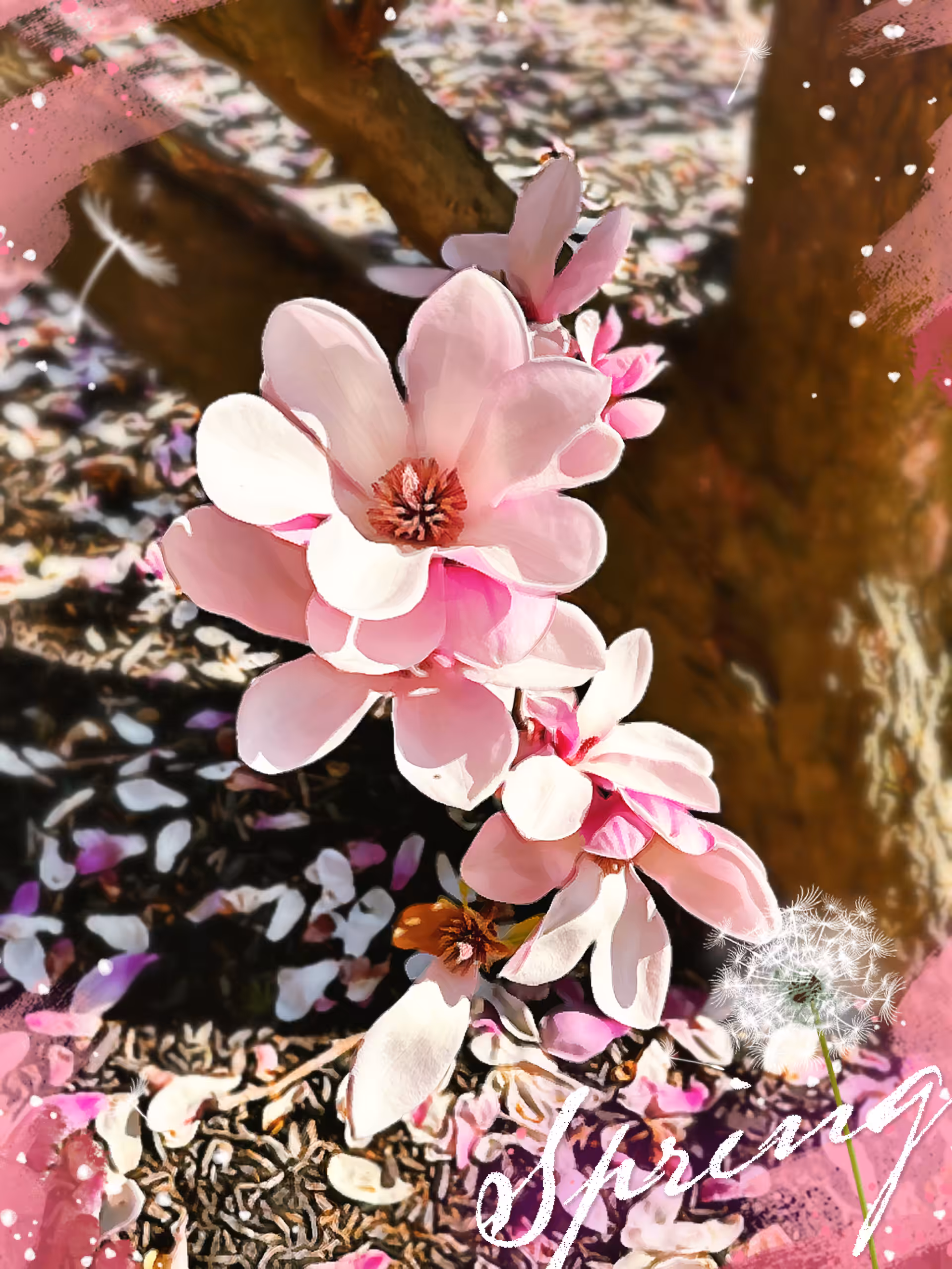 Nature’s Beauty 