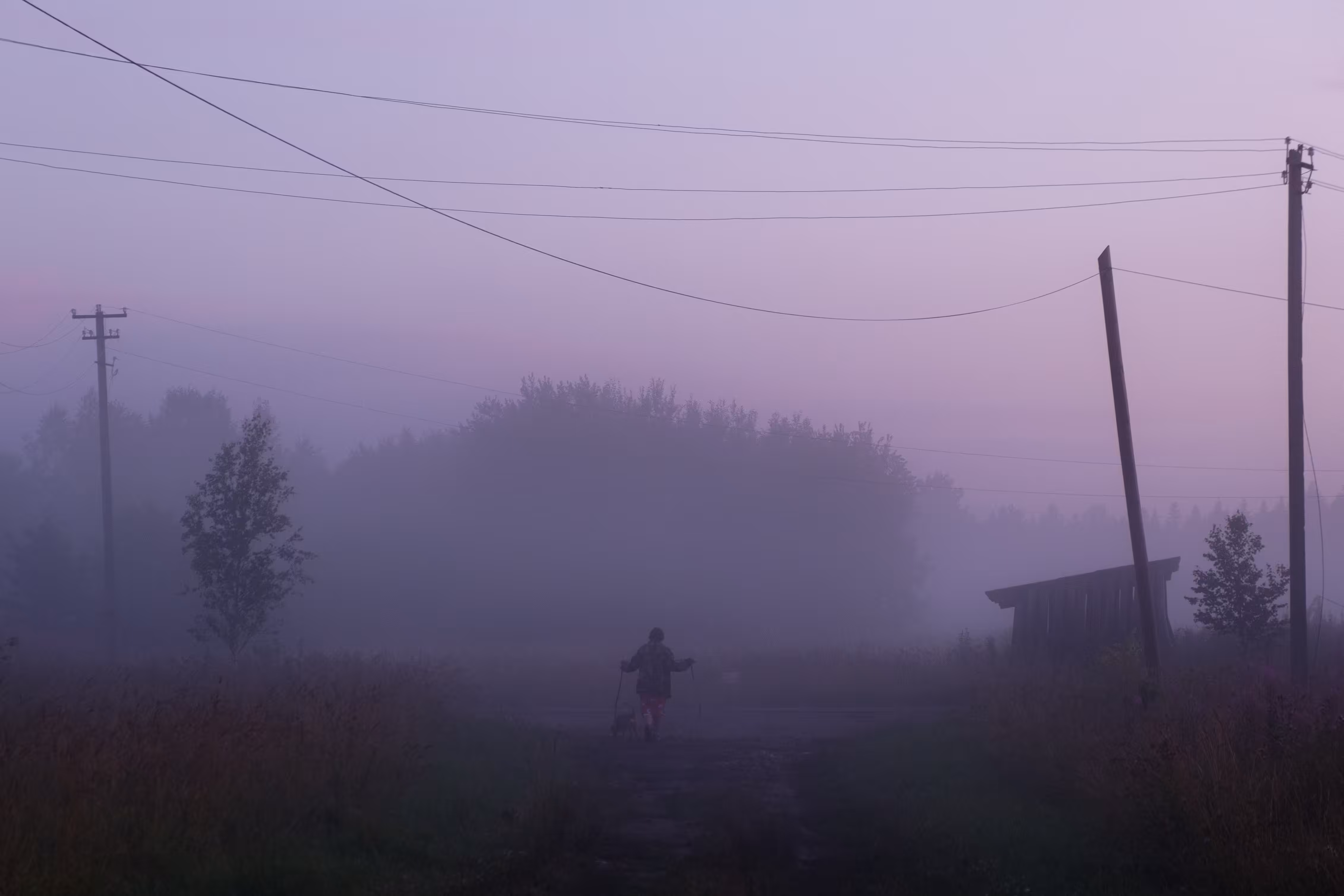 (evening fog/after the rain) pt.2