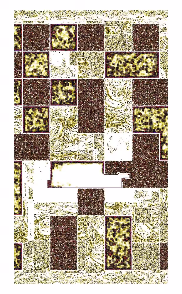 reveal #12