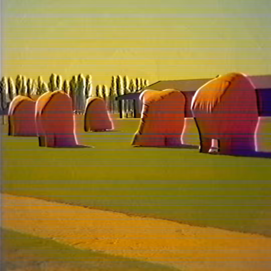 Quantum Communications - Suburban Wildlife