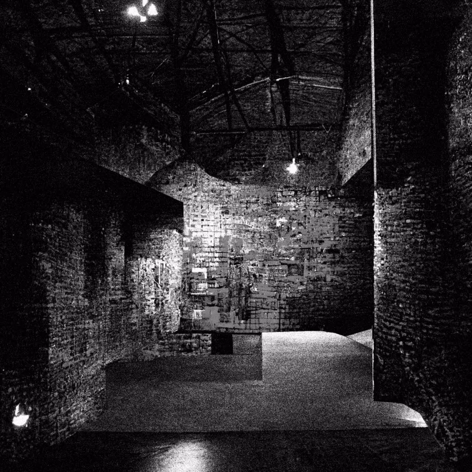 Liminal Newberry #2