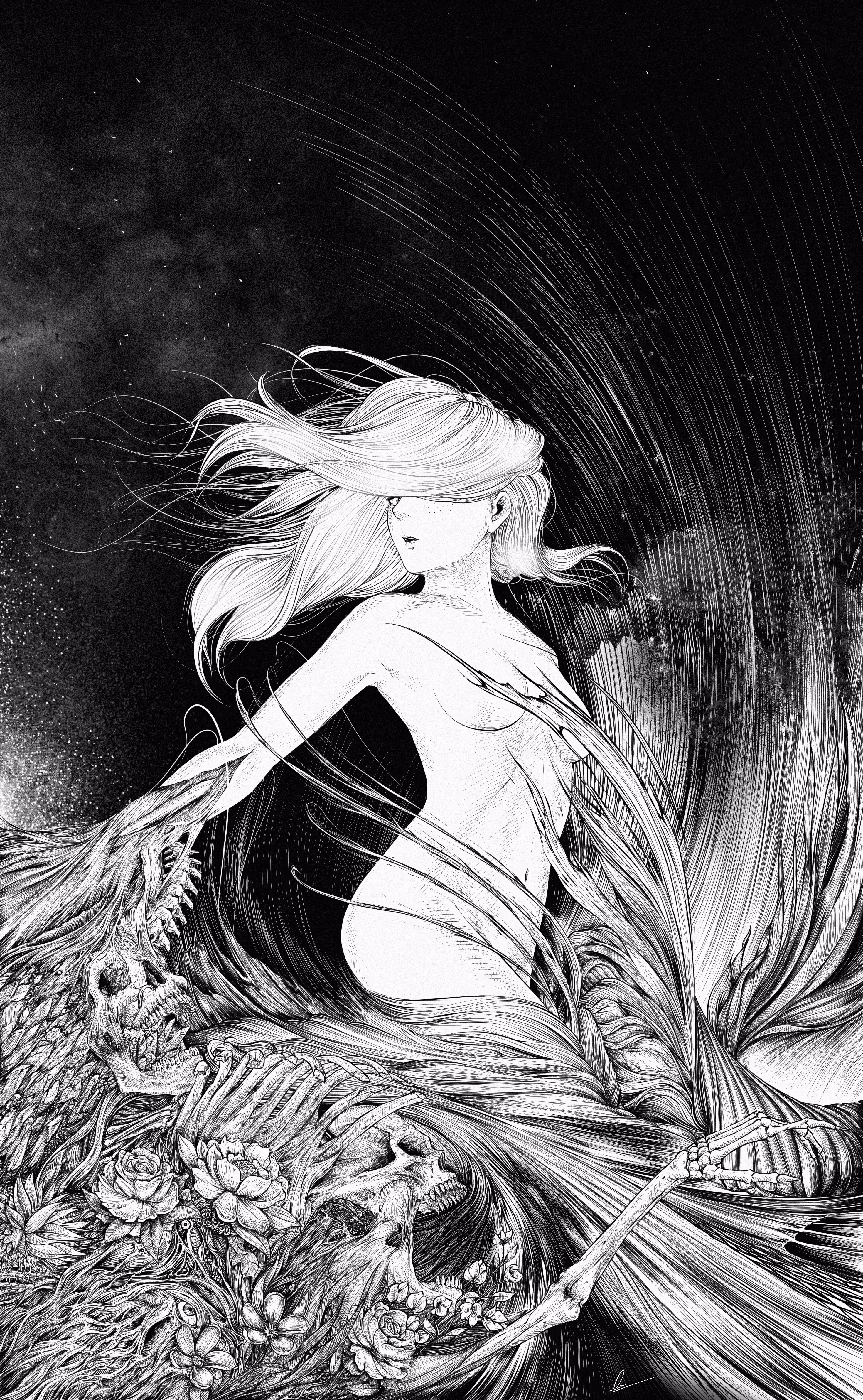 Fluid II