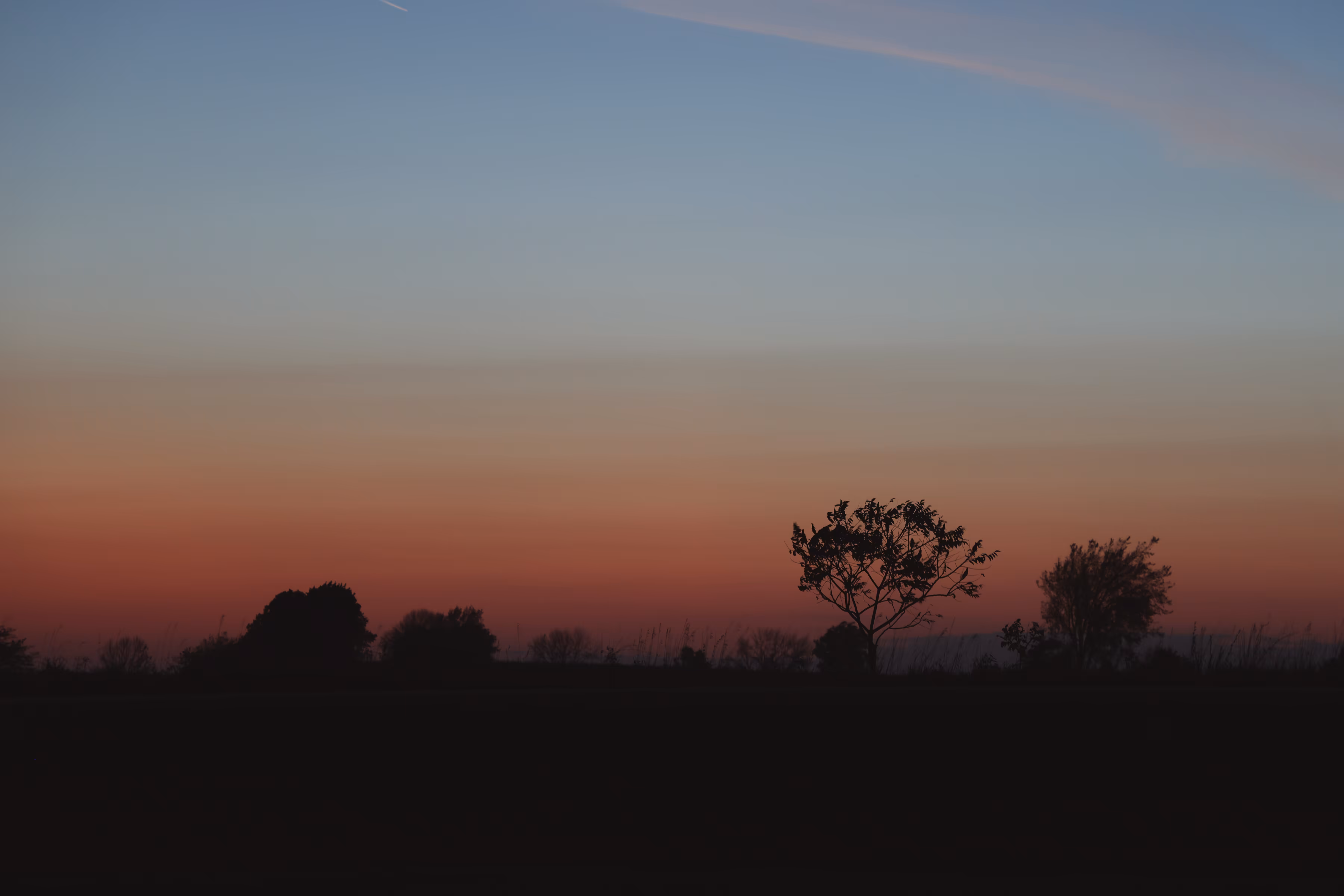 _favorable sky