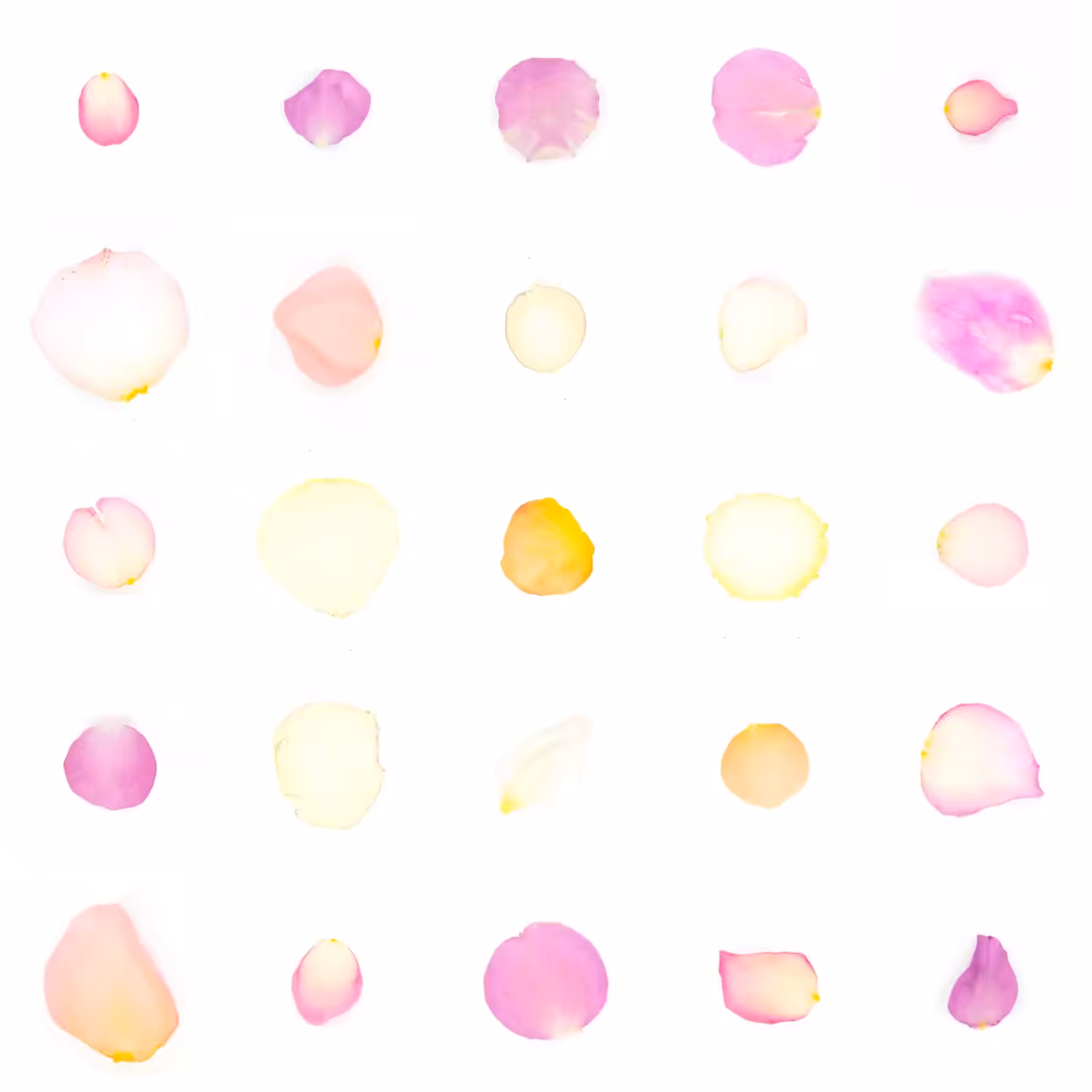 Infinite Petals 5x5#1665