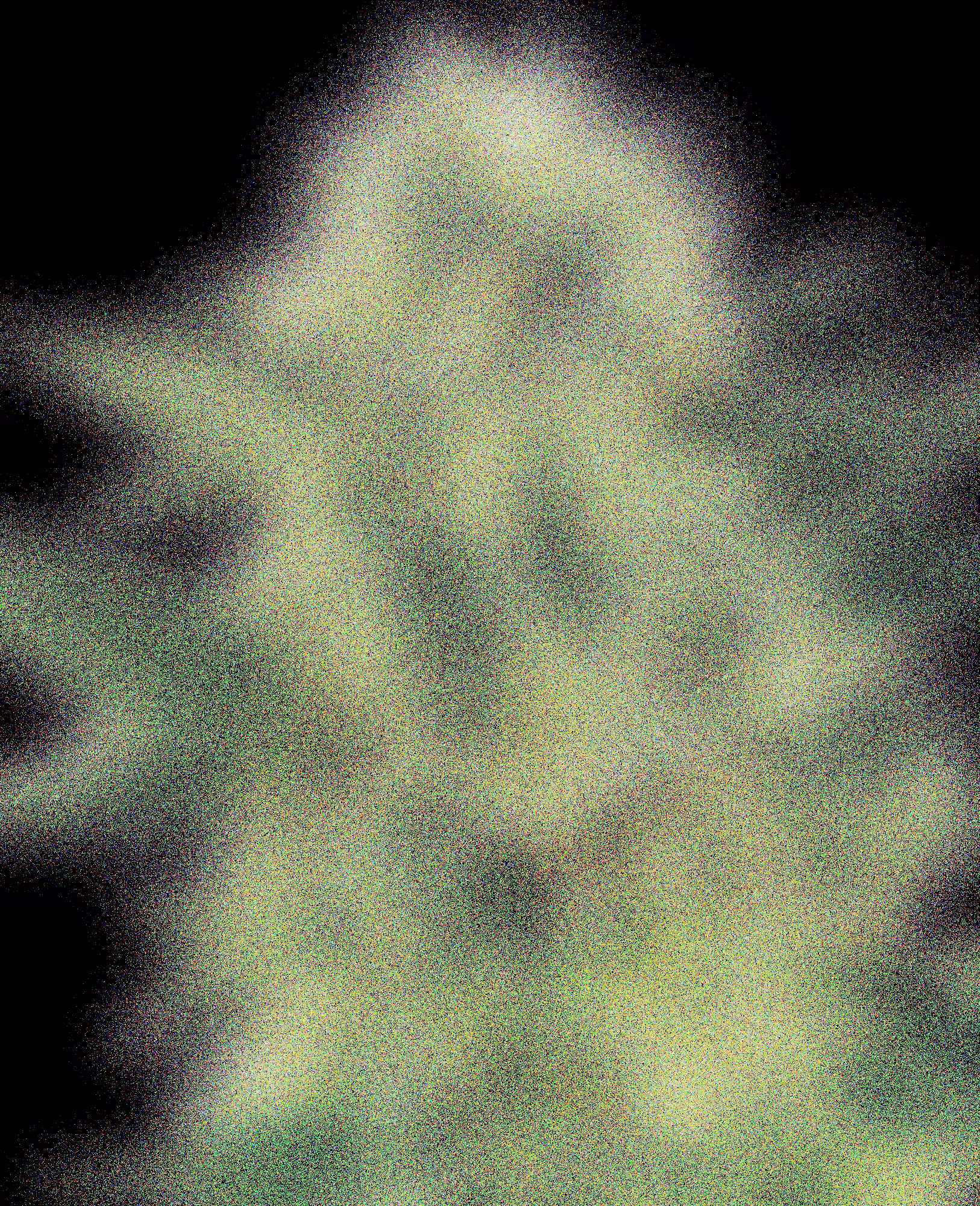 NORTHERN LIGHTS