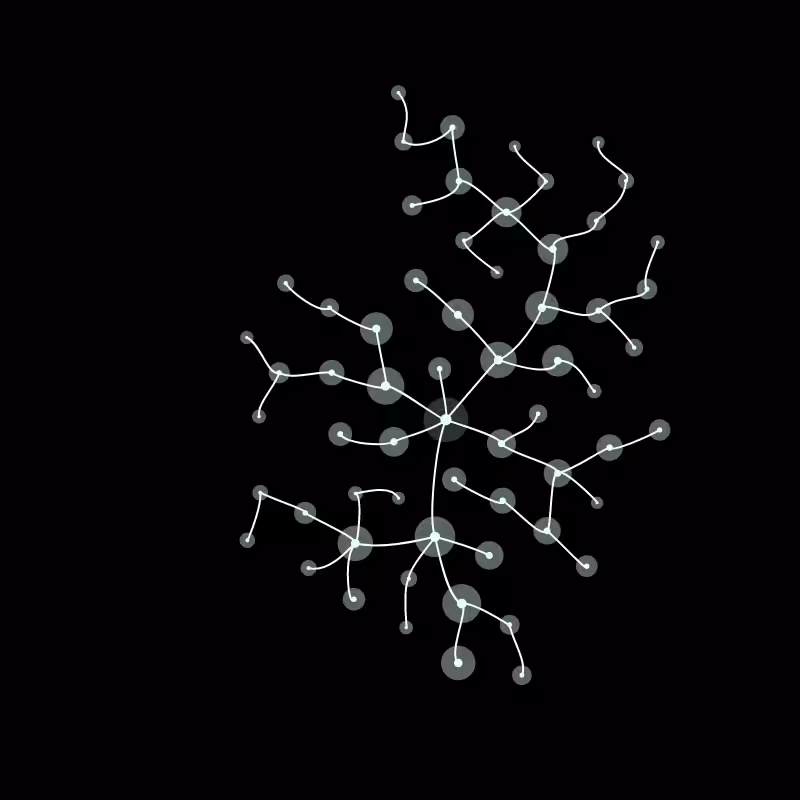 Algae #5