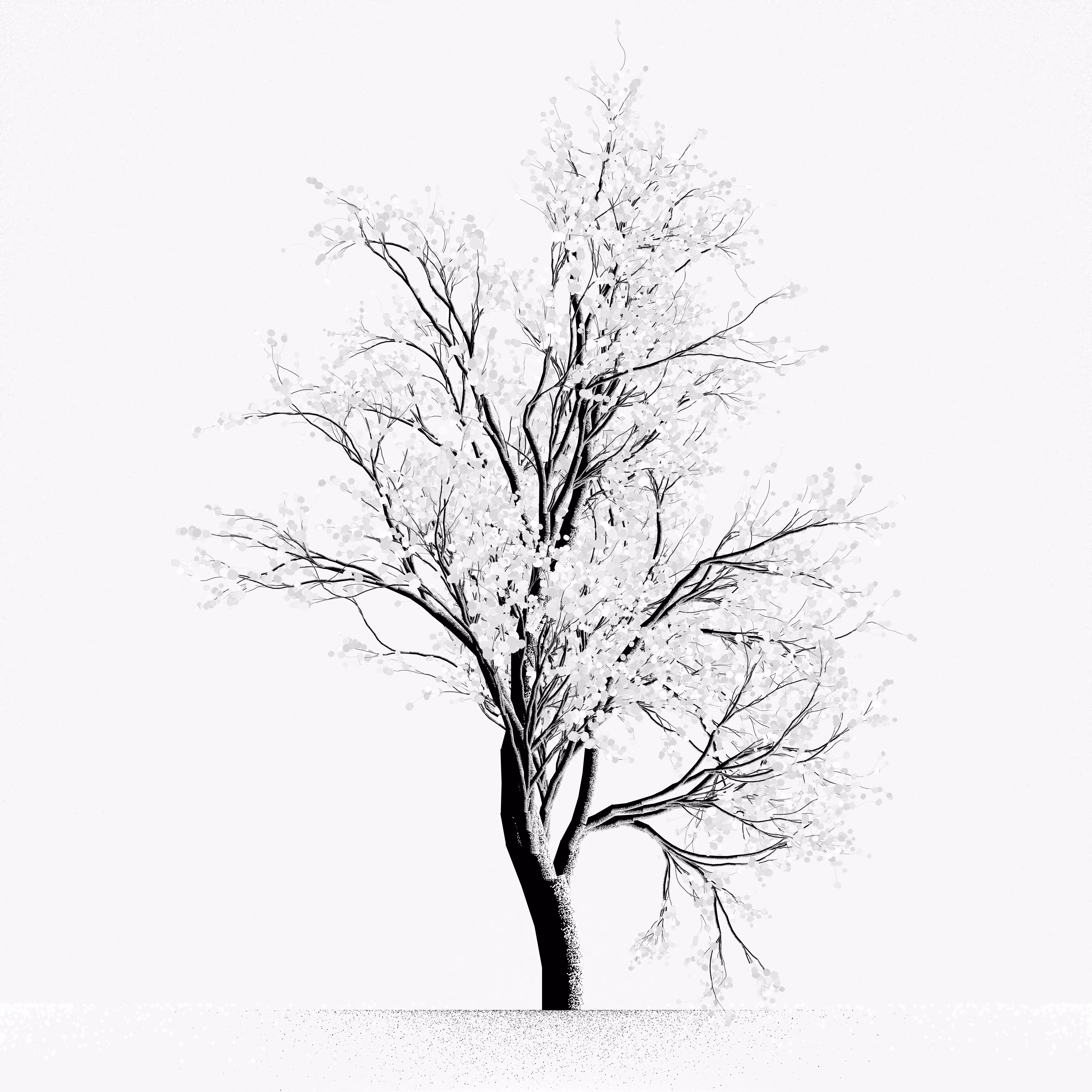 Snow Tree #27