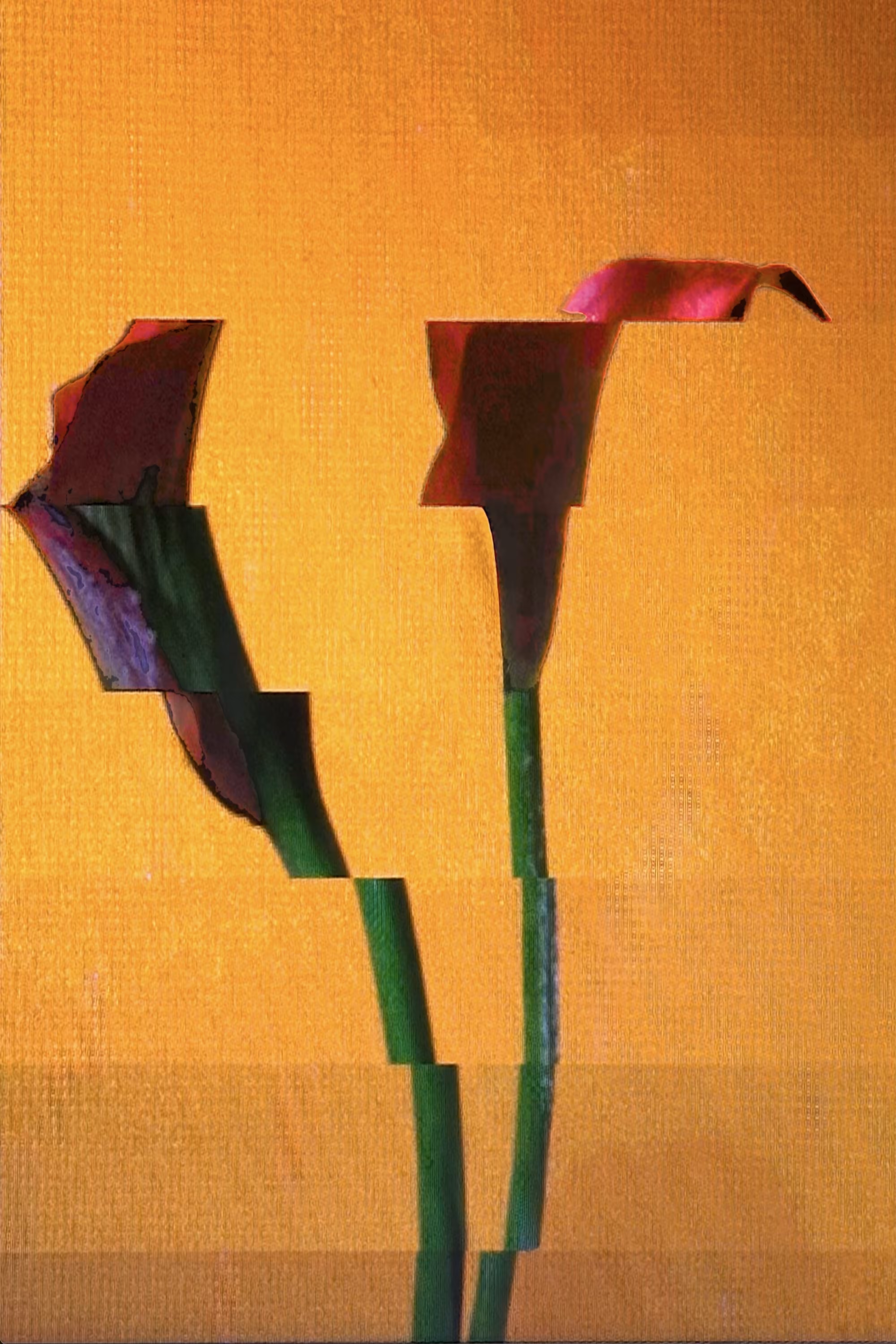 LOWREZ118