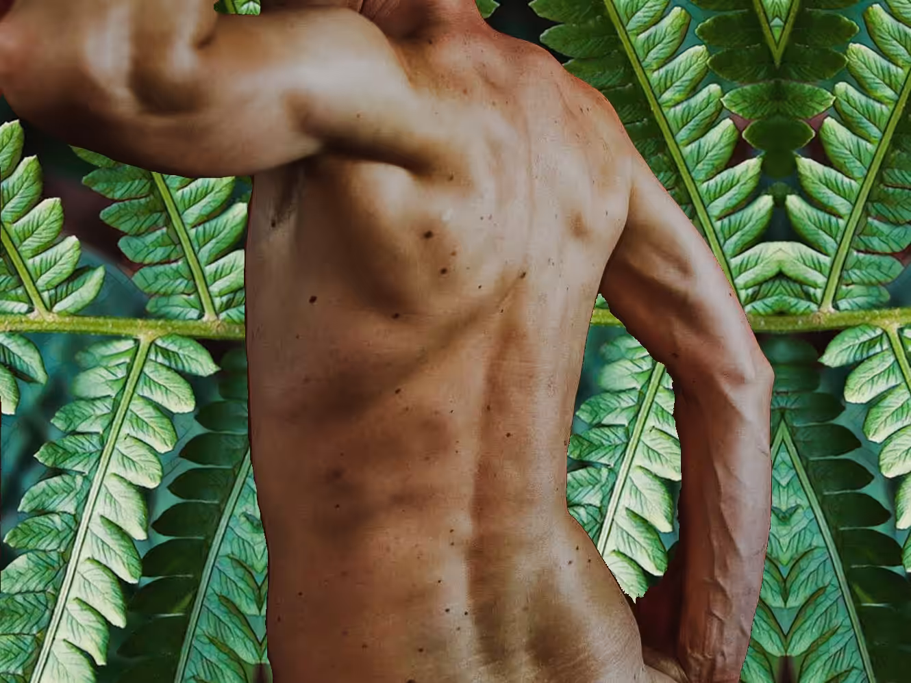 male back, nude with fern fractals