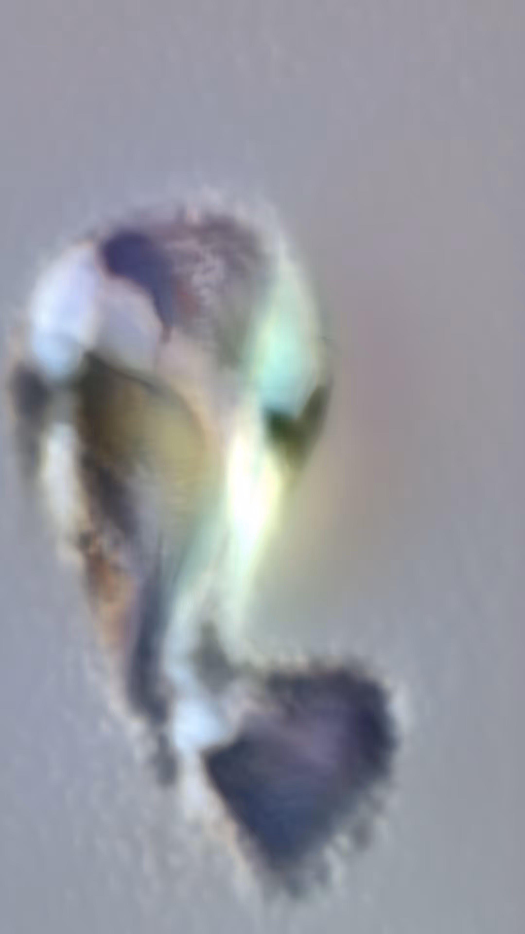 Latent Drift #12 — Latent Drift
