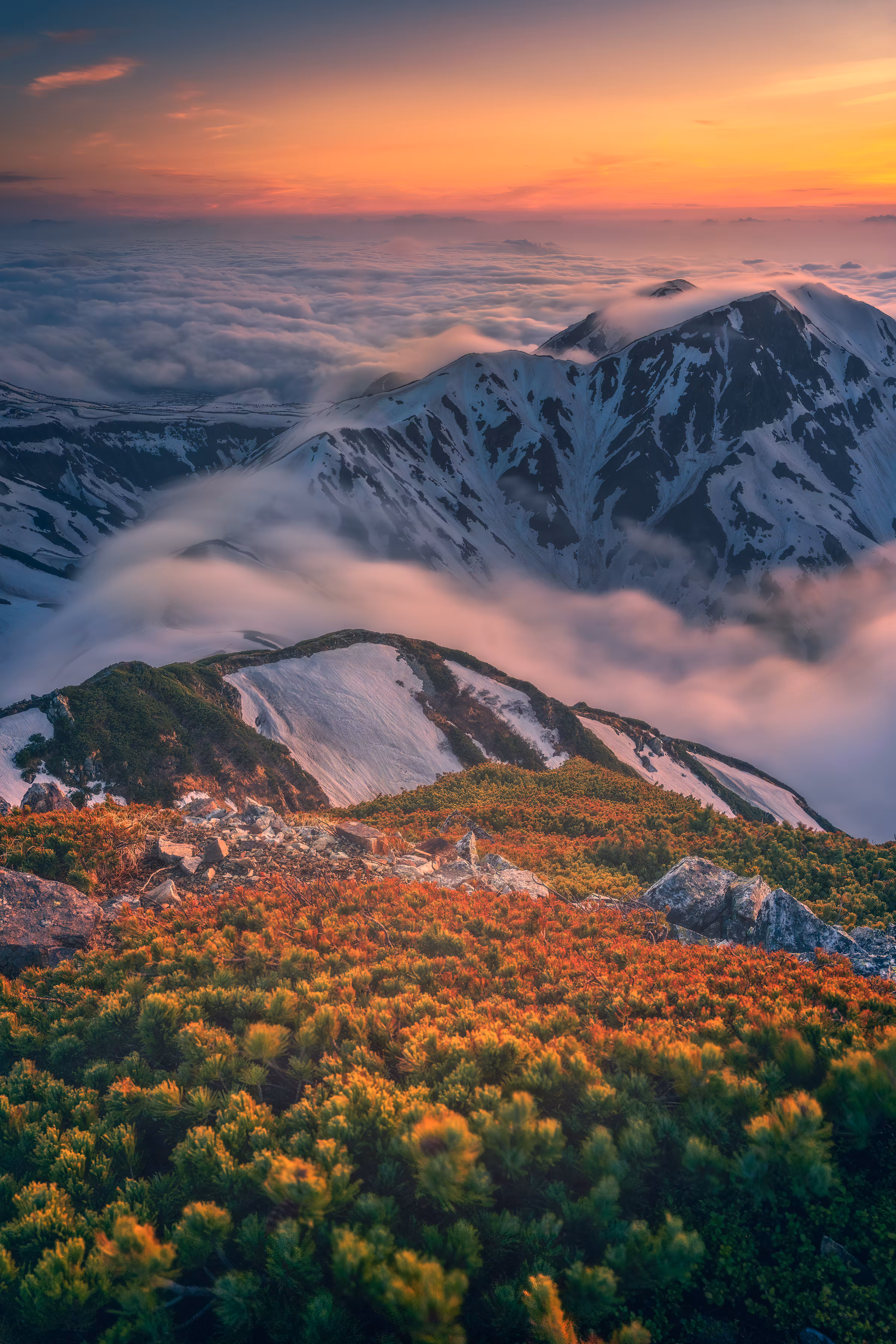 Above the clouds